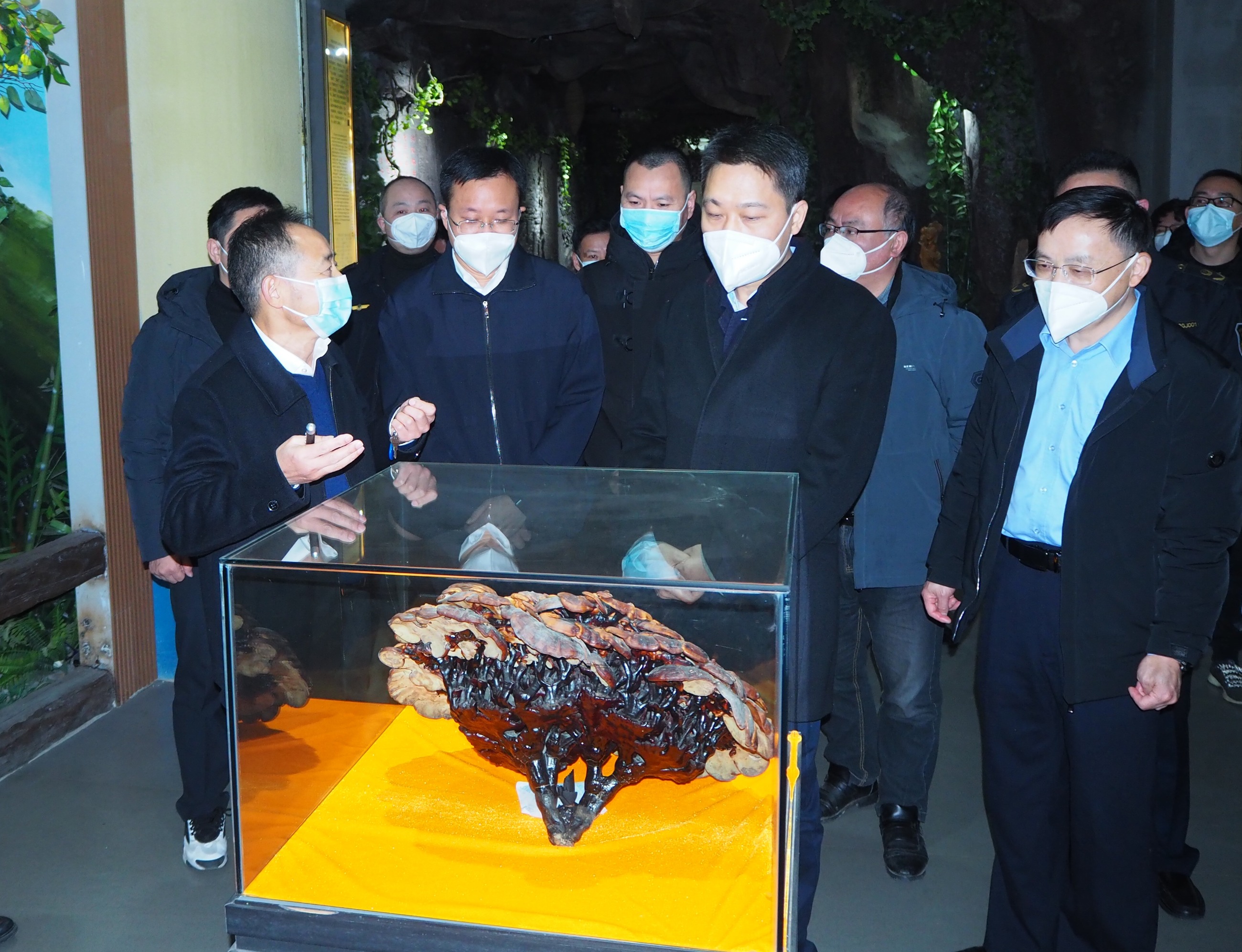 杭州亞運會官方靈芝產品供應商|杭州亞運會官方供應商|中國靈芝十大品牌|仙客來靈芝|仙客來靈芝破壁孢子粉|仙客來孢子油|仙客來靈芝飲片|仙客來破壁孢子粉|靈芝孢子油|孢子粉|靈芝破壁孢子粉|靈芝|中華老字號 杭州亞運會官方靈芝產品供應商|杭州亞運會官方供應商|中國靈芝十大品牌|仙客來靈芝|仙客來靈芝破壁孢子粉|仙客來孢子油|仙客來靈芝飲片|仙客來破壁孢子粉|靈芝孢子油|孢子粉|靈芝破壁孢子粉|靈芝|中華老字號