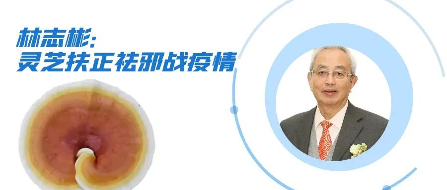 杭州亞運(yùn)會(huì)官方靈芝產(chǎn)品供應(yīng)商|杭州亞運(yùn)會(huì)官方供應(yīng)商|中國(guó)靈芝十大品牌|仙客來靈芝|仙客來靈芝破壁孢子粉|仙客來孢子油|仙客來靈芝飲片|仙客來破壁孢子粉|靈芝孢子油|孢子粉|靈芝破壁孢子粉|靈芝|中華老字號(hào) 杭州亞運(yùn)會(huì)官方靈芝產(chǎn)品供應(yīng)商|杭州亞運(yùn)會(huì)官方供應(yīng)商|中國(guó)靈芝十大品牌|仙客來靈芝|仙客來靈芝破壁孢子粉|仙客來孢子油|仙客來靈芝飲片|仙客來破壁孢子粉|靈芝孢子油|孢子粉|靈芝破壁孢子粉|靈芝|中華老字號(hào)