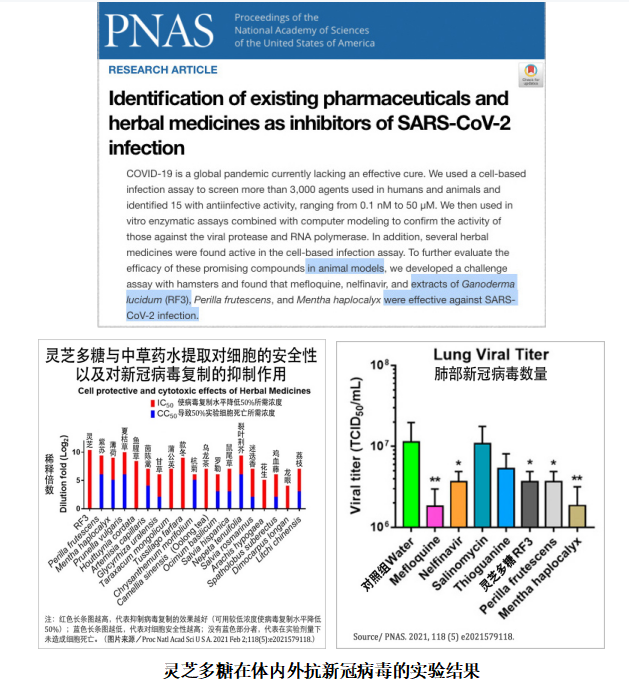 杭州亞運(yùn)會(huì)官方靈芝產(chǎn)品供應(yīng)商|杭州亞運(yùn)會(huì)官方供應(yīng)商|中國(guó)靈芝十大品牌|仙客來靈芝|仙客來靈芝破壁孢子粉|仙客來孢子油|仙客來靈芝飲片|仙客來破壁孢子粉|靈芝孢子油|孢子粉|靈芝破壁孢子粉|靈芝|中華老字號(hào) 杭州亞運(yùn)會(huì)官方靈芝產(chǎn)品供應(yīng)商|杭州亞運(yùn)會(huì)官方供應(yīng)商|中國(guó)靈芝十大品牌|仙客來靈芝|仙客來靈芝破壁孢子粉|仙客來孢子油|仙客來靈芝飲片|仙客來破壁孢子粉|靈芝孢子油|孢子粉|靈芝破壁孢子粉|靈芝|中華老字號(hào)