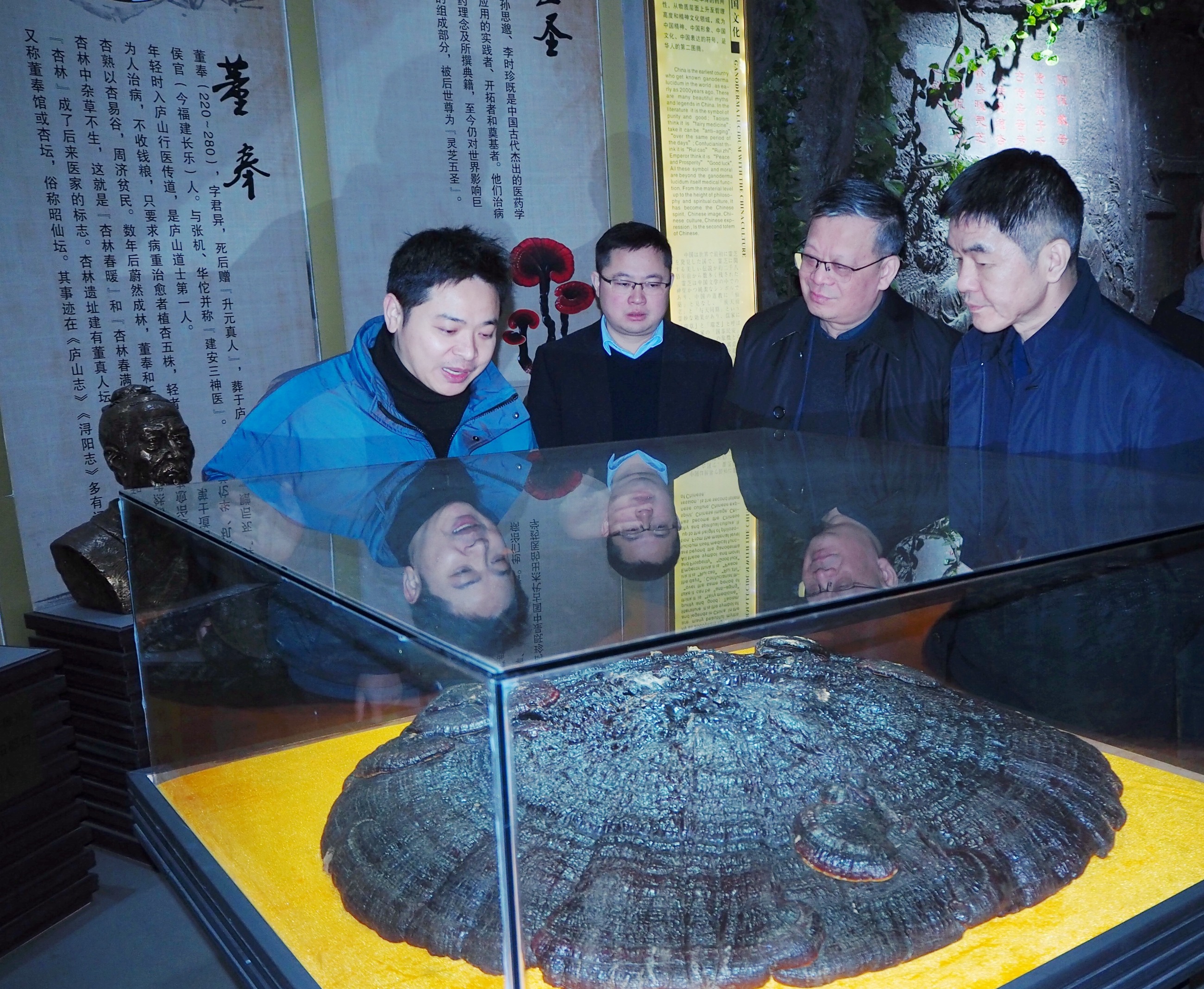 杭州亞運(yùn)會官方靈芝產(chǎn)品供應(yīng)商|杭州亞運(yùn)會官方供應(yīng)商|中國靈芝十大品牌|仙客來靈芝|仙客來靈芝破壁孢子粉|仙客來孢子油|仙客來靈芝飲片|仙客來破壁孢子粉|靈芝孢子油|孢子粉|靈芝破壁孢子粉|靈芝|中華老字號 杭州亞運(yùn)會官方靈芝產(chǎn)品供應(yīng)商|杭州亞運(yùn)會官方供應(yīng)商|中國靈芝十大品牌|仙客來靈芝|仙客來靈芝破壁孢子粉|仙客來孢子油|仙客來靈芝飲片|仙客來破壁孢子粉|靈芝孢子油|孢子粉|靈芝破壁孢子粉|靈芝|中華老字號