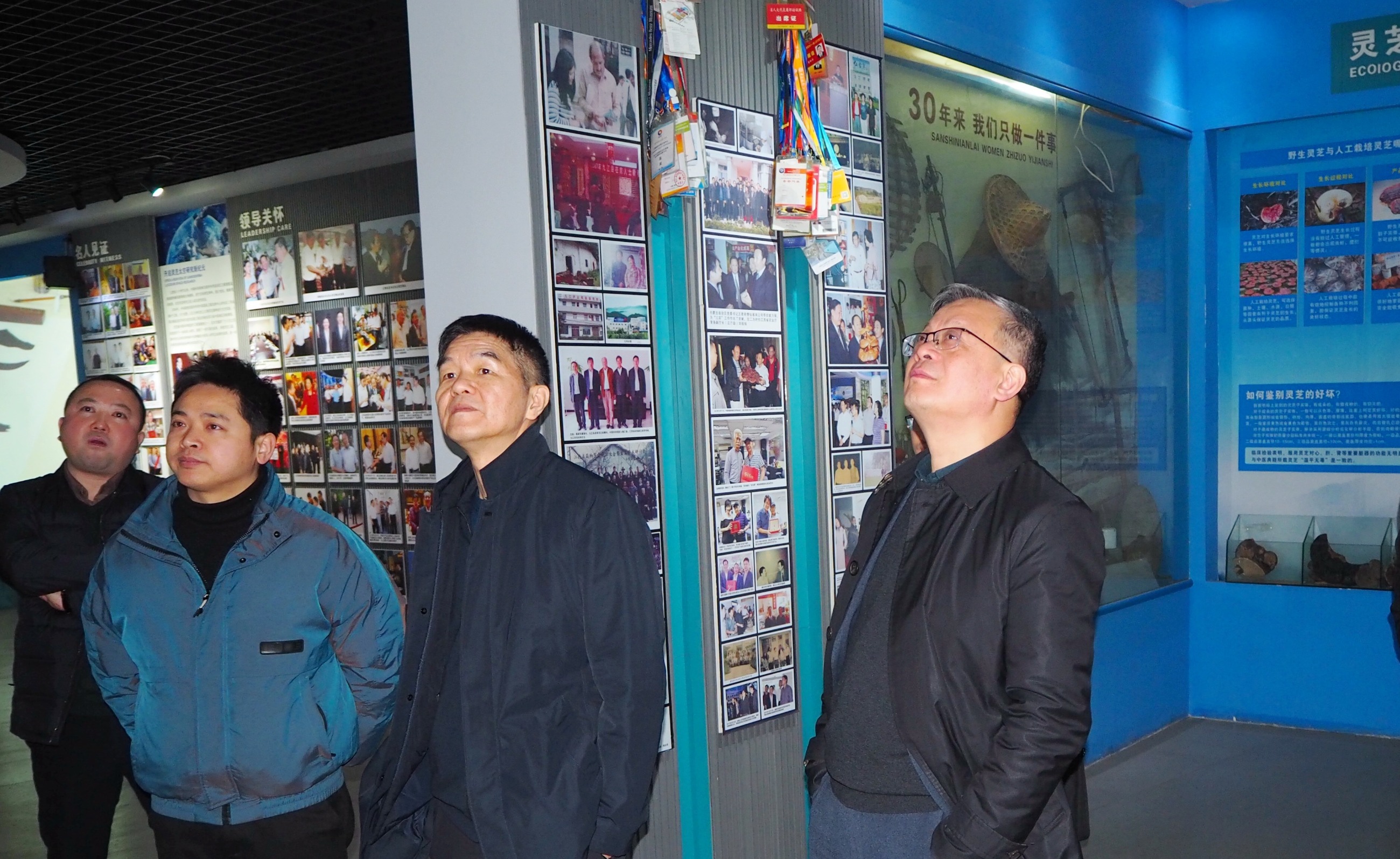 杭州亞運(yùn)會官方靈芝產(chǎn)品供應(yīng)商|杭州亞運(yùn)會官方供應(yīng)商|中國靈芝十大品牌|仙客來靈芝|仙客來靈芝破壁孢子粉|仙客來孢子油|仙客來靈芝飲片|仙客來破壁孢子粉|靈芝孢子油|孢子粉|靈芝破壁孢子粉|靈芝|中華老字號 杭州亞運(yùn)會官方靈芝產(chǎn)品供應(yīng)商|杭州亞運(yùn)會官方供應(yīng)商|中國靈芝十大品牌|仙客來靈芝|仙客來靈芝破壁孢子粉|仙客來孢子油|仙客來靈芝飲片|仙客來破壁孢子粉|靈芝孢子油|孢子粉|靈芝破壁孢子粉|靈芝|中華老字號