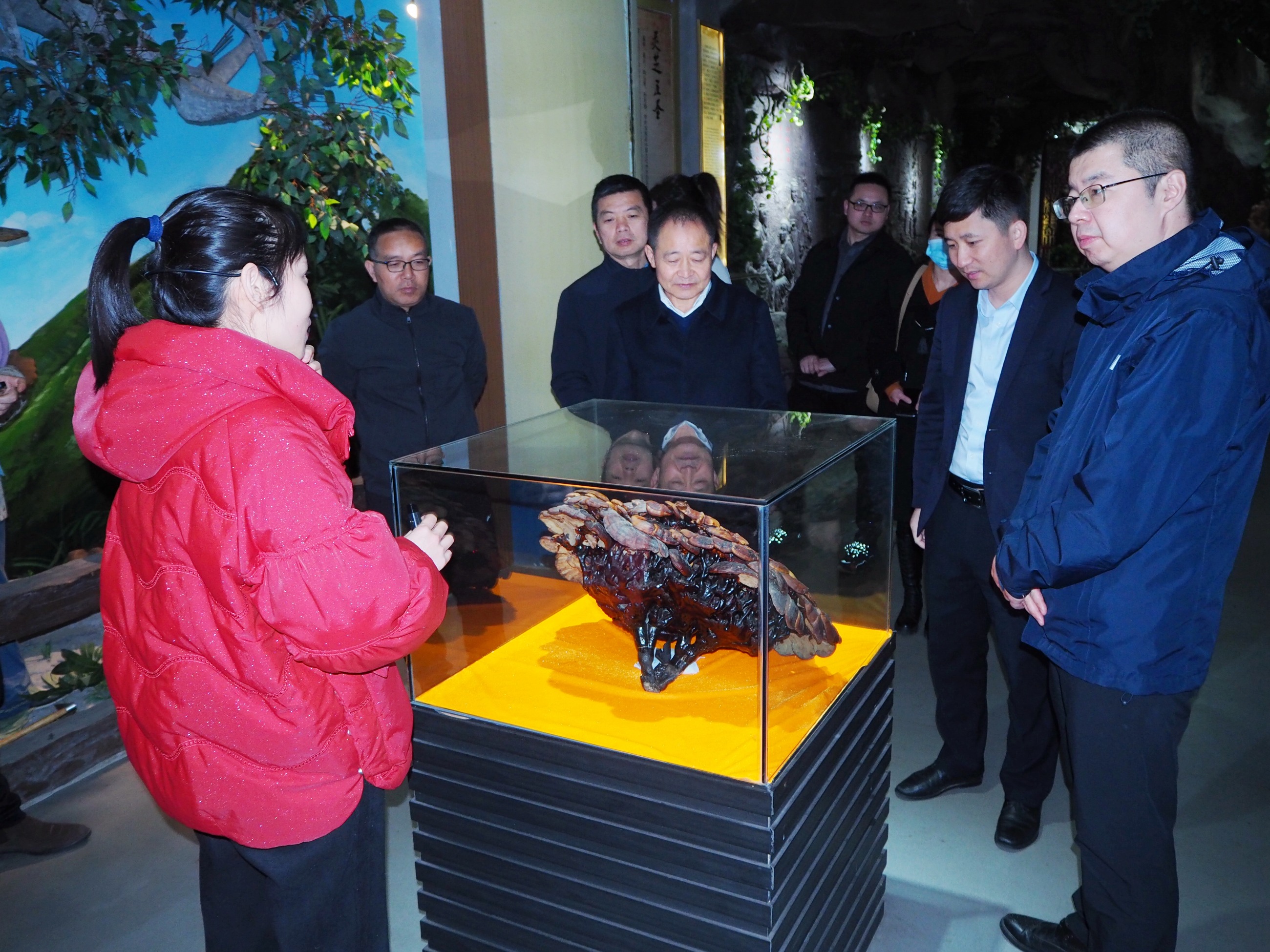 杭州亞運會官方靈芝產(chǎn)品供應(yīng)商|杭州亞運會官方供應(yīng)商|中國靈芝十大品牌|仙客來靈芝|仙客來靈芝破壁孢子粉|仙客來孢子油|仙客來靈芝飲片|仙客來破壁孢子粉|靈芝孢子油|孢子粉|靈芝破壁孢子粉|靈芝|中華老字號 杭州亞運會官方靈芝產(chǎn)品供應(yīng)商|杭州亞運會官方供應(yīng)商|中國靈芝十大品牌|仙客來靈芝|仙客來靈芝破壁孢子粉|仙客來孢子油|仙客來靈芝飲片|仙客來破壁孢子粉|靈芝孢子油|孢子粉|靈芝破壁孢子粉|靈芝|中華老字號