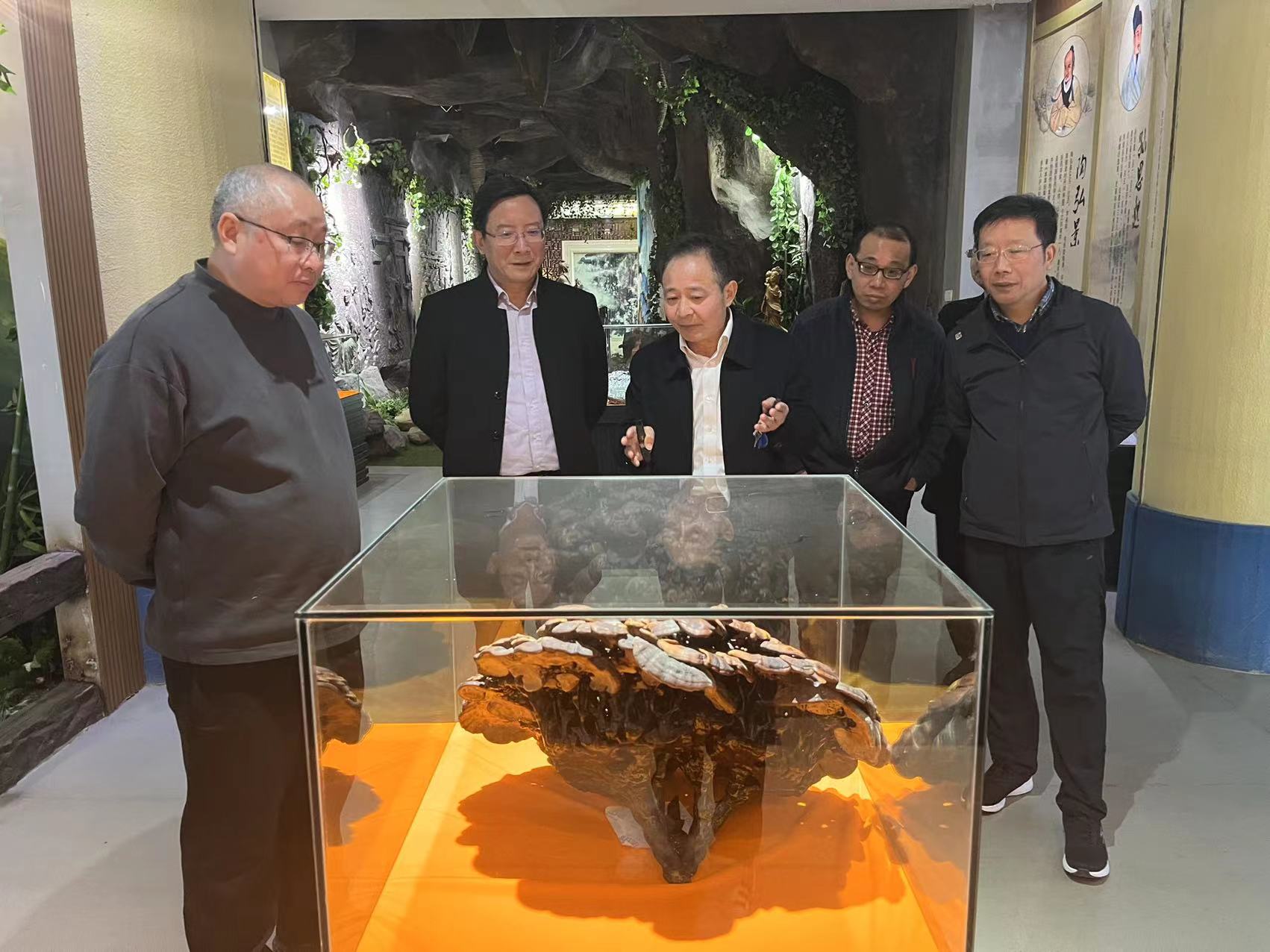 杭州亞運(yùn)會(huì)官方靈芝產(chǎn)品供應(yīng)商|杭州亞運(yùn)會(huì)官方供應(yīng)商|中國(guó)靈芝十大品牌|仙客來(lái)靈芝|仙客來(lái)靈芝破壁孢子粉|仙客來(lái)孢子油|仙客來(lái)靈芝飲片|仙客來(lái)破壁孢子粉|靈芝孢子油|孢子粉|靈芝破壁孢子粉|靈芝|中華老字號(hào) 杭州亞運(yùn)會(huì)官方靈芝產(chǎn)品供應(yīng)商|杭州亞運(yùn)會(huì)官方供應(yīng)商|中國(guó)靈芝十大品牌|仙客來(lái)靈芝|仙客來(lái)靈芝破壁孢子粉|仙客來(lái)孢子油|仙客來(lái)靈芝飲片|仙客來(lái)破壁孢子粉|靈芝孢子油|孢子粉|靈芝破壁孢子粉|靈芝|中華老字號(hào)