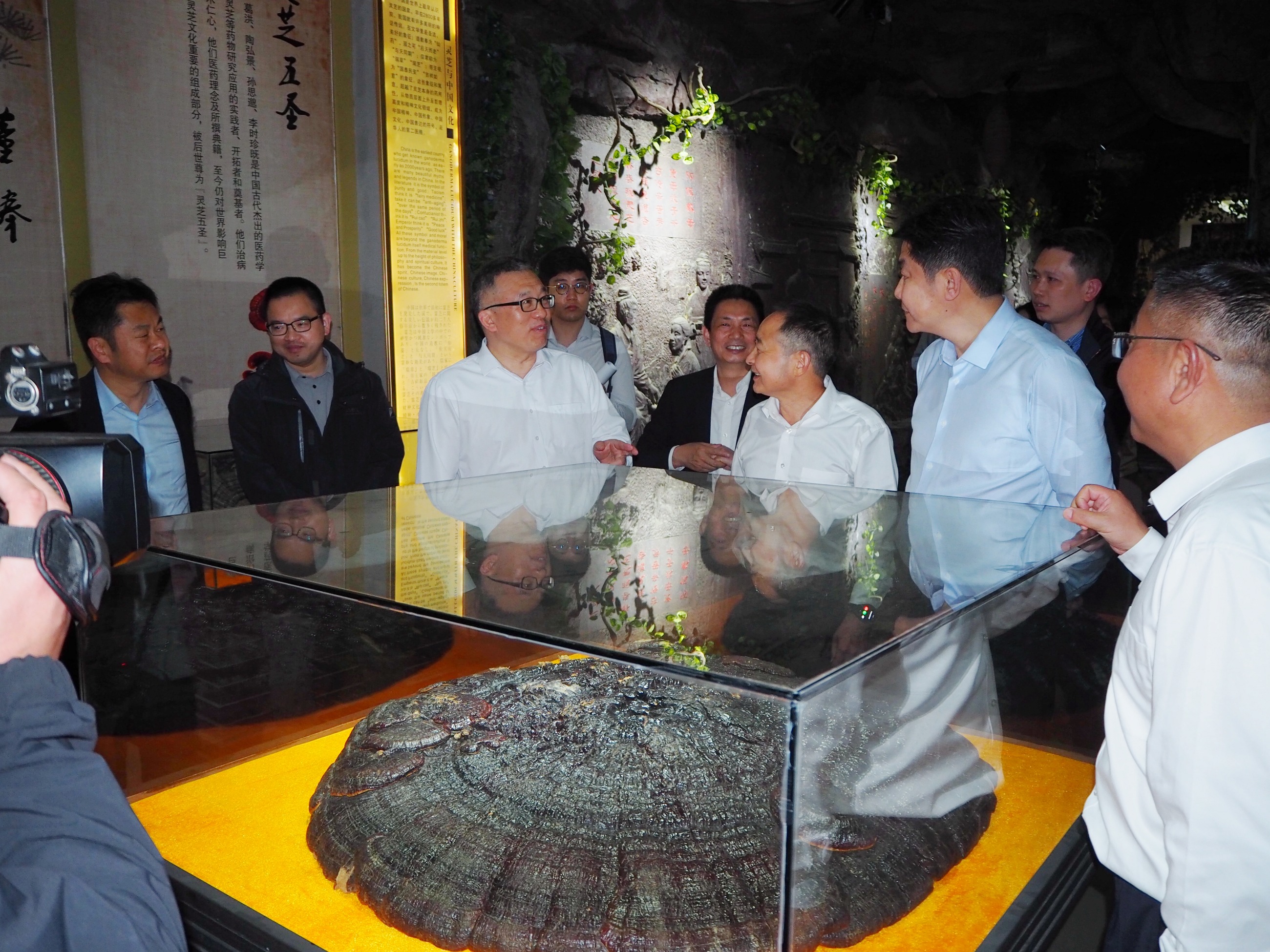 杭州亞運(yùn)會官方靈芝產(chǎn)品供應(yīng)商|杭州亞運(yùn)會官方供應(yīng)商|中國靈芝十大品牌|仙客來靈芝|仙客來靈芝破壁孢子粉|仙客來孢子油|仙客來靈芝飲片|仙客來破壁孢子粉|靈芝孢子油|孢子粉|靈芝破壁孢子粉|靈芝|中華老字號 杭州亞運(yùn)會官方靈芝產(chǎn)品供應(yīng)商|杭州亞運(yùn)會官方供應(yīng)商|中國靈芝十大品牌|仙客來靈芝|仙客來靈芝破壁孢子粉|仙客來孢子油|仙客來靈芝飲片|仙客來破壁孢子粉|靈芝孢子油|孢子粉|靈芝破壁孢子粉|靈芝|中華老字號