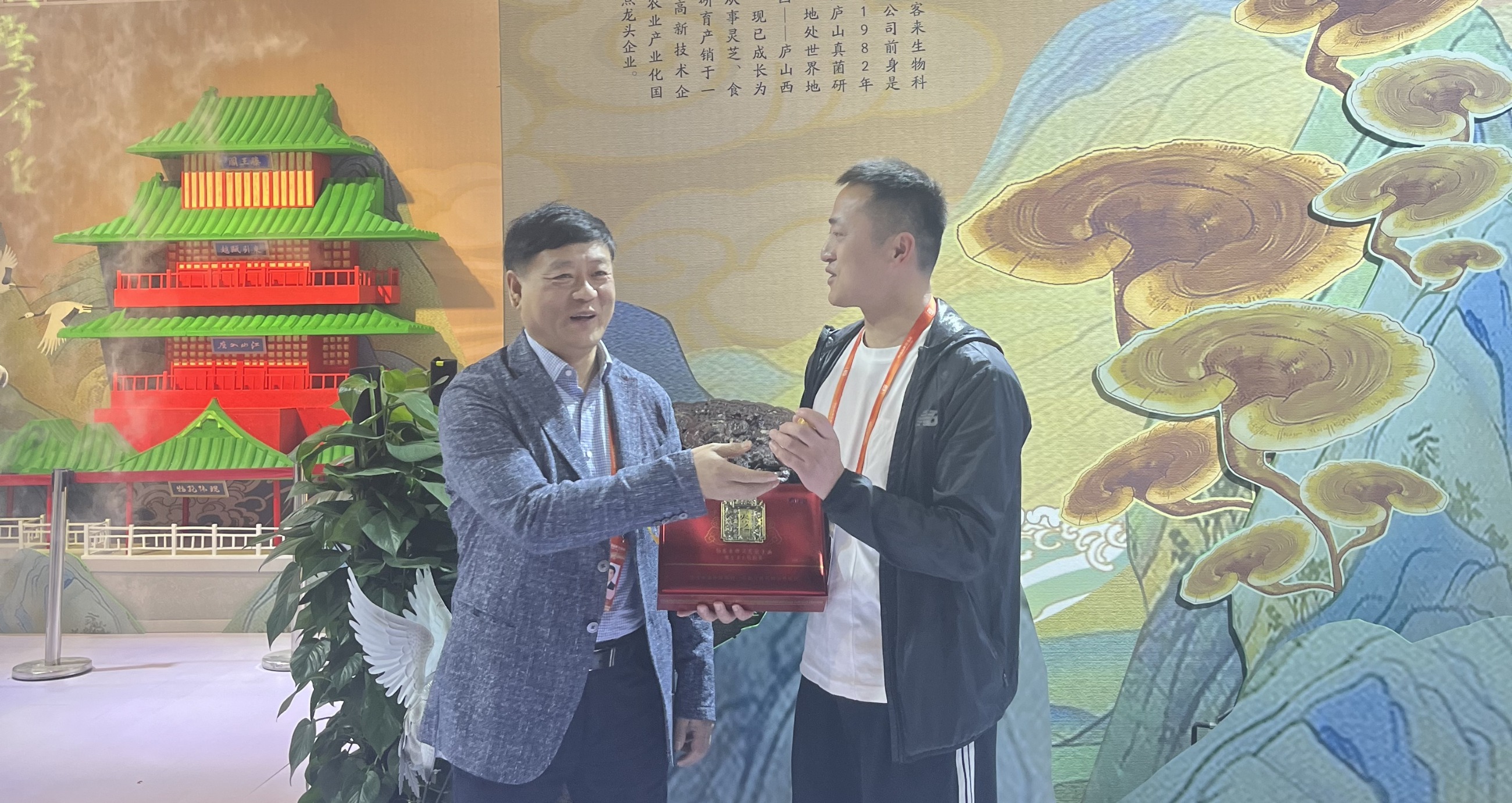 杭州亞運會官方靈芝產(chǎn)品供應商|杭州亞運會官方供應商|中國靈芝十大品牌|仙客來靈芝|仙客來靈芝破壁孢子粉|仙客來孢子油|仙客來靈芝飲片|仙客來破壁孢子粉|靈芝孢子油|孢子粉|靈芝破壁孢子粉|靈芝|中華老字號 杭州亞運會官方靈芝產(chǎn)品供應商|杭州亞運會官方供應商|中國靈芝十大品牌|仙客來靈芝|仙客來靈芝破壁孢子粉|仙客來孢子油|仙客來靈芝飲片|仙客來破壁孢子粉|靈芝孢子油|孢子粉|靈芝破壁孢子粉|靈芝|中華老字號