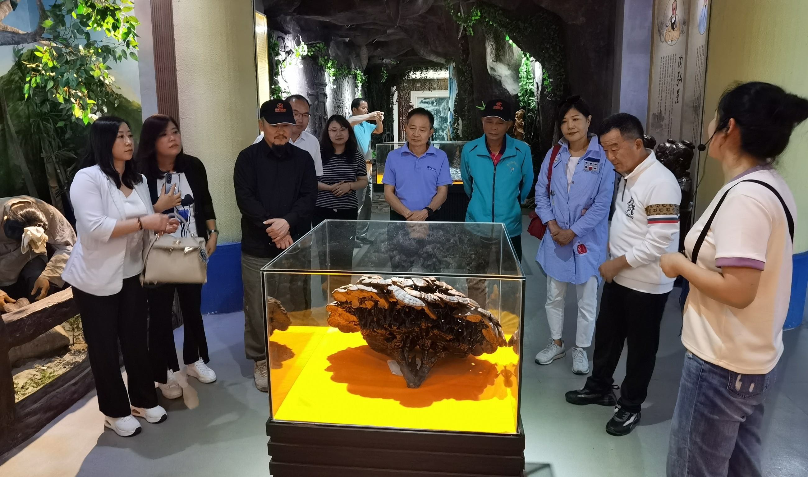 杭州亞運會官方靈芝產(chǎn)品供應(yīng)商|杭州亞運會官方供應(yīng)商|中國靈芝十大品牌|仙客來靈芝|仙客來靈芝破壁孢子粉|仙客來孢子油|仙客來靈芝飲片|仙客來破壁孢子粉|靈芝孢子油|孢子粉|靈芝破壁孢子粉|靈芝|中華老字號 杭州亞運會官方靈芝產(chǎn)品供應(yīng)商|杭州亞運會官方供應(yīng)商|中國靈芝十大品牌|仙客來靈芝|仙客來靈芝破壁孢子粉|仙客來孢子油|仙客來靈芝飲片|仙客來破壁孢子粉|靈芝孢子油|孢子粉|靈芝破壁孢子粉|靈芝|中華老字號