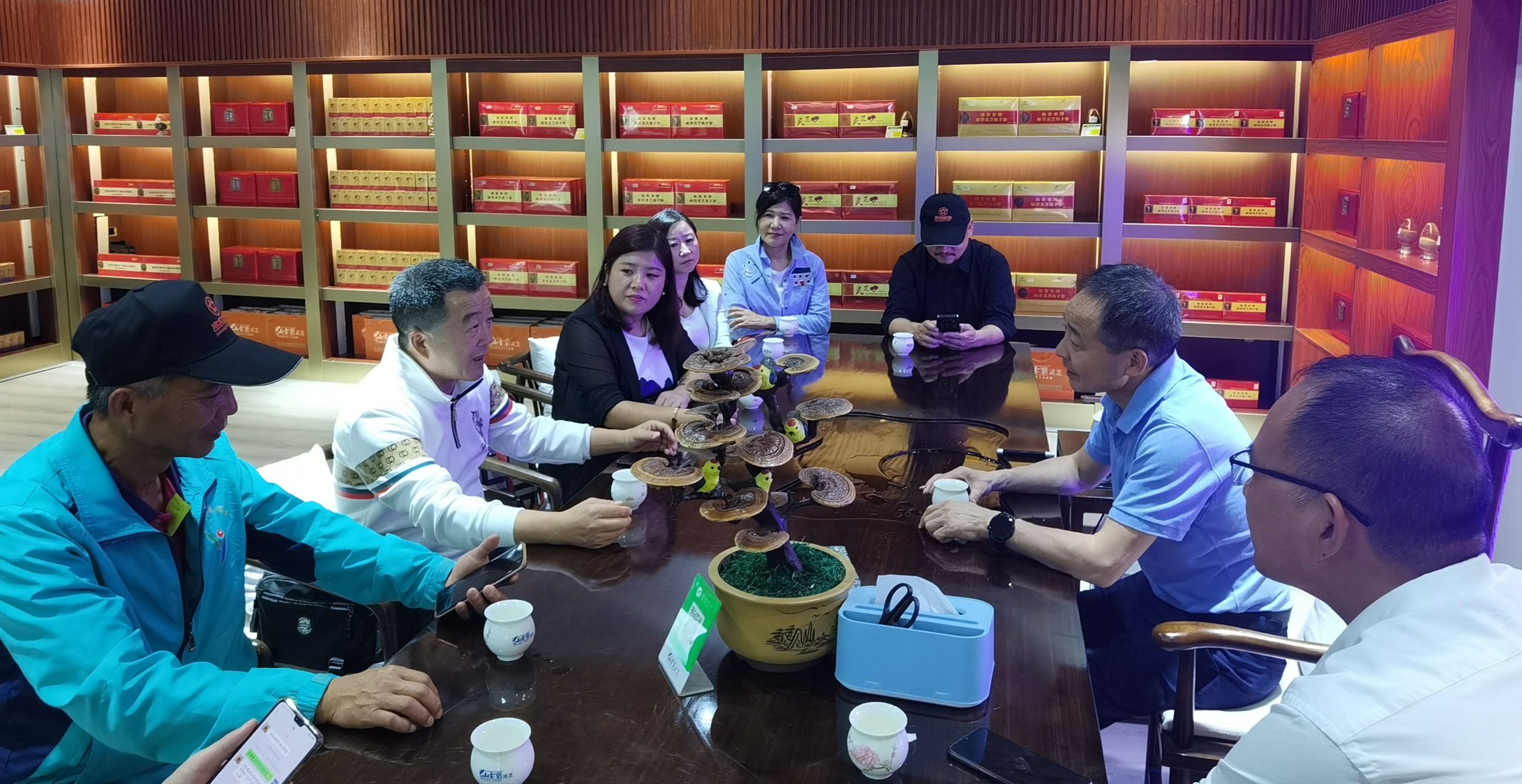 杭州亞運會官方靈芝產(chǎn)品供應(yīng)商|杭州亞運會官方供應(yīng)商|中國靈芝十大品牌|仙客來靈芝|仙客來靈芝破壁孢子粉|仙客來孢子油|仙客來靈芝飲片|仙客來破壁孢子粉|靈芝孢子油|孢子粉|靈芝破壁孢子粉|靈芝|中華老字號 杭州亞運會官方靈芝產(chǎn)品供應(yīng)商|杭州亞運會官方供應(yīng)商|中國靈芝十大品牌|仙客來靈芝|仙客來靈芝破壁孢子粉|仙客來孢子油|仙客來靈芝飲片|仙客來破壁孢子粉|靈芝孢子油|孢子粉|靈芝破壁孢子粉|靈芝|中華老字號