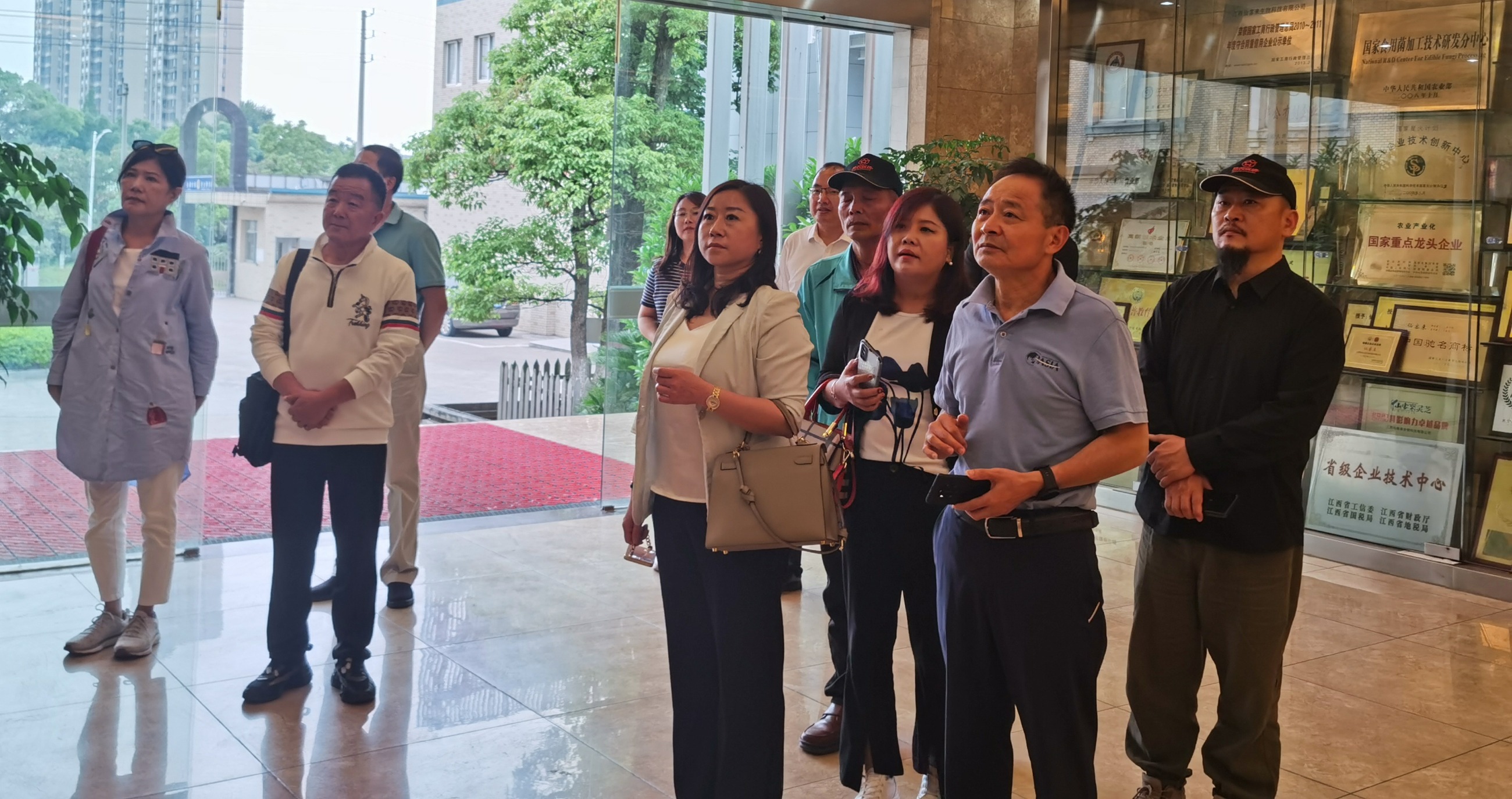 杭州亞運會官方靈芝產(chǎn)品供應(yīng)商|杭州亞運會官方供應(yīng)商|中國靈芝十大品牌|仙客來靈芝|仙客來靈芝破壁孢子粉|仙客來孢子油|仙客來靈芝飲片|仙客來破壁孢子粉|靈芝孢子油|孢子粉|靈芝破壁孢子粉|靈芝|中華老字號 杭州亞運會官方靈芝產(chǎn)品供應(yīng)商|杭州亞運會官方供應(yīng)商|中國靈芝十大品牌|仙客來靈芝|仙客來靈芝破壁孢子粉|仙客來孢子油|仙客來靈芝飲片|仙客來破壁孢子粉|靈芝孢子油|孢子粉|靈芝破壁孢子粉|靈芝|中華老字號