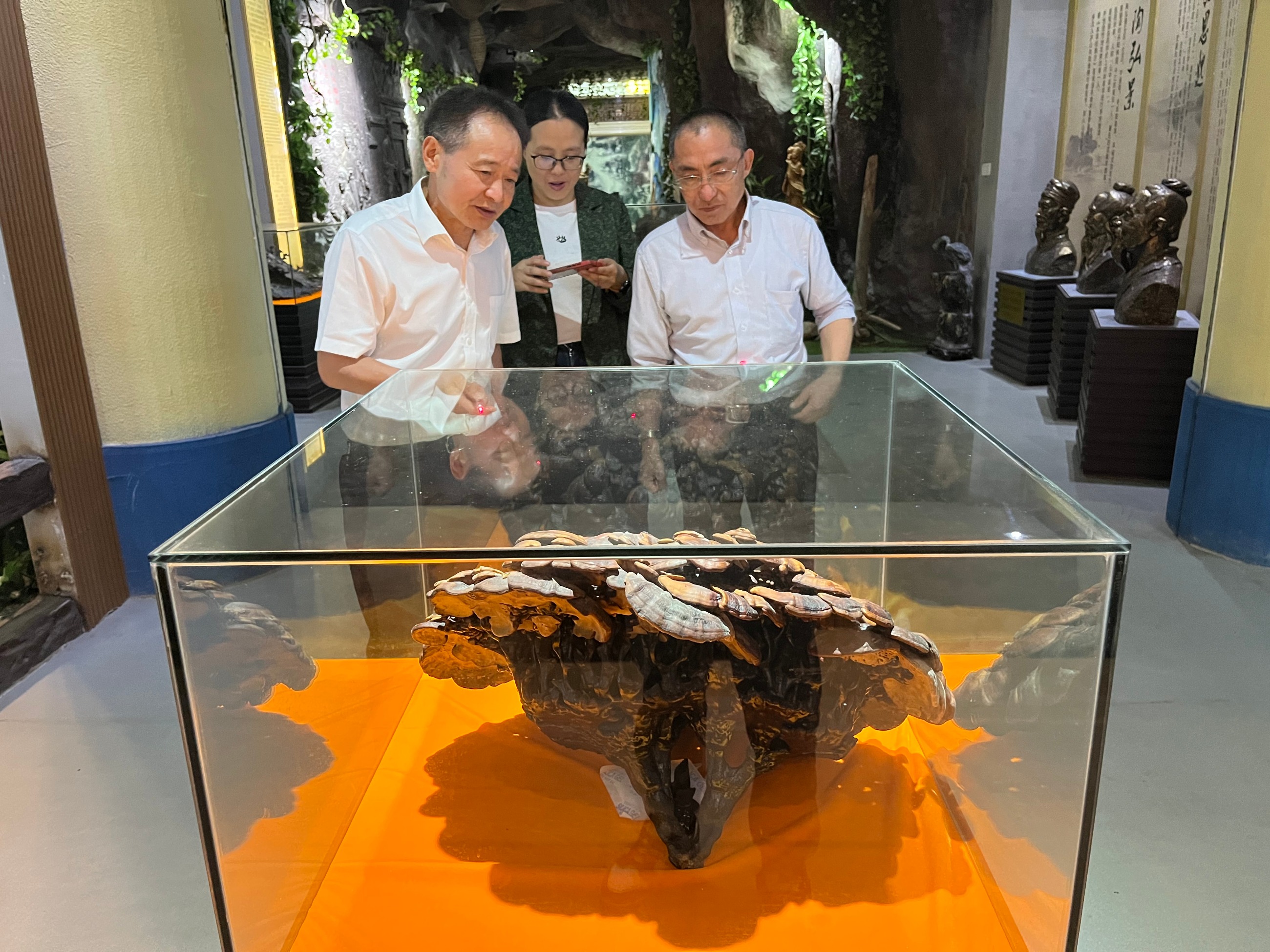 杭州亞運會官方靈芝產(chǎn)品供應商|杭州亞運會官方供應商|中國靈芝十大品牌|仙客來靈芝|仙客來靈芝破壁孢子粉|仙客來孢子油|仙客來靈芝飲片|仙客來破壁孢子粉|靈芝孢子油|孢子粉|靈芝破壁孢子粉|靈芝|中華老字號 杭州亞運會官方靈芝產(chǎn)品供應商|杭州亞運會官方供應商|中國靈芝十大品牌|仙客來靈芝|仙客來靈芝破壁孢子粉|仙客來孢子油|仙客來靈芝飲片|仙客來破壁孢子粉|靈芝孢子油|孢子粉|靈芝破壁孢子粉|靈芝|中華老字號