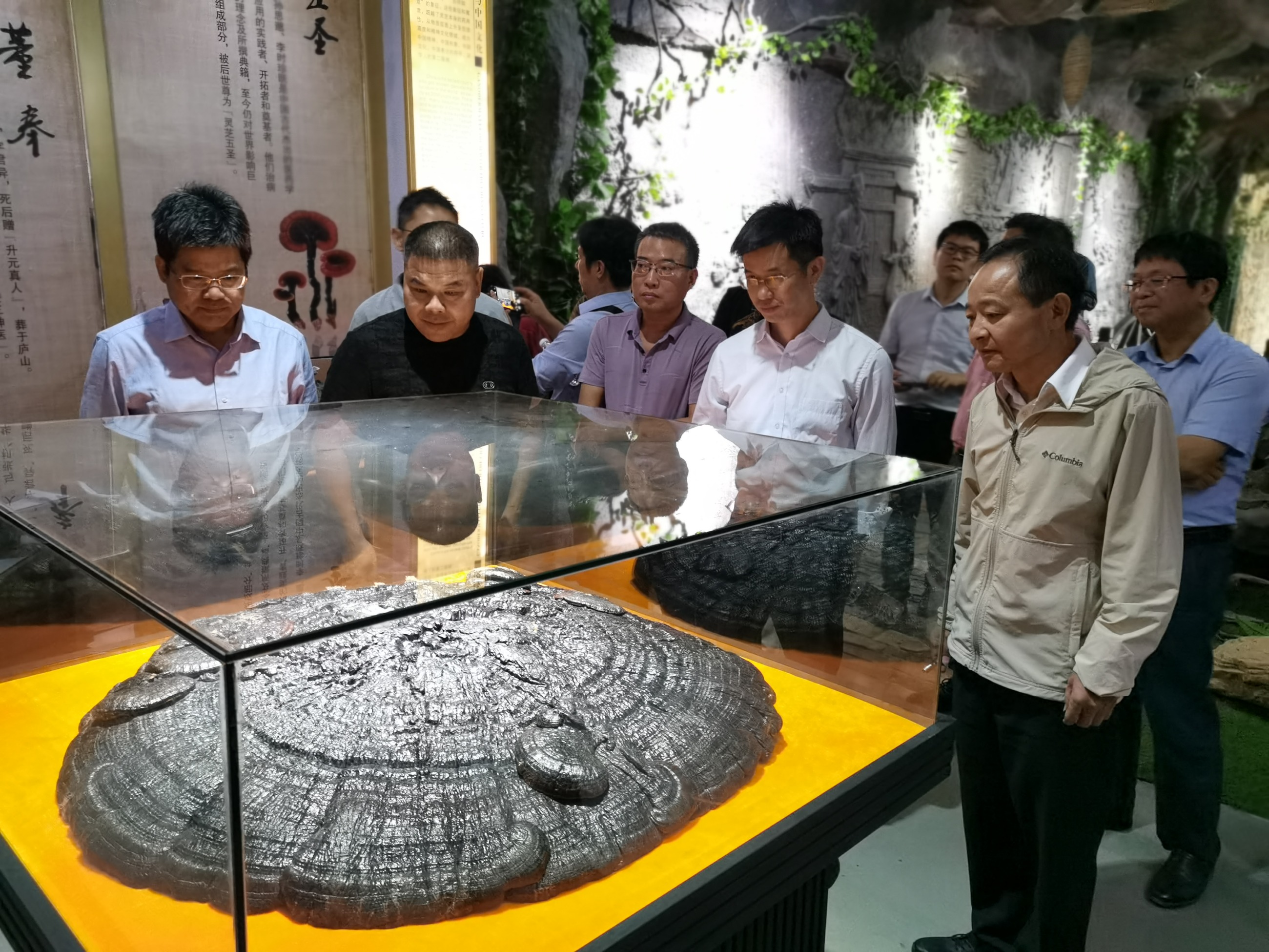 杭州亞運(yùn)會(huì)官方靈芝產(chǎn)品供應(yīng)商|杭州亞運(yùn)會(huì)官方供應(yīng)商|中國靈芝十大品牌|仙客來靈芝|仙客來靈芝破壁孢子粉|仙客來孢子油|仙客來靈芝飲片|仙客來破壁孢子粉|靈芝孢子油|孢子粉|靈芝破壁孢子粉|靈芝|中華老字號(hào) 杭州亞運(yùn)會(huì)官方靈芝產(chǎn)品供應(yīng)商|杭州亞運(yùn)會(huì)官方供應(yīng)商|中國靈芝十大品牌|仙客來靈芝|仙客來靈芝破壁孢子粉|仙客來孢子油|仙客來靈芝飲片|仙客來破壁孢子粉|靈芝孢子油|孢子粉|靈芝破壁孢子粉|靈芝|中華老字號(hào)