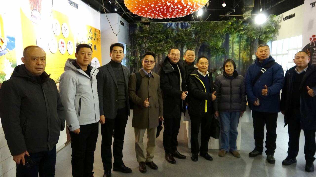 杭州亞運(yùn)會官方靈芝產(chǎn)品供應(yīng)商|杭州亞運(yùn)會官方供應(yīng)商|中國靈芝十大品牌|仙客來靈芝|仙客來靈芝破壁孢子粉|仙客來孢子油|仙客來靈芝飲片|仙客來破壁孢子粉|靈芝孢子油|孢子粉|靈芝破壁孢子粉|靈芝|中華老字號 杭州亞運(yùn)會官方靈芝產(chǎn)品供應(yīng)商|杭州亞運(yùn)會官方供應(yīng)商|中國靈芝十大品牌|仙客來靈芝|仙客來靈芝破壁孢子粉|仙客來孢子油|仙客來靈芝飲片|仙客來破壁孢子粉|靈芝孢子油|孢子粉|靈芝破壁孢子粉|靈芝|中華老字號