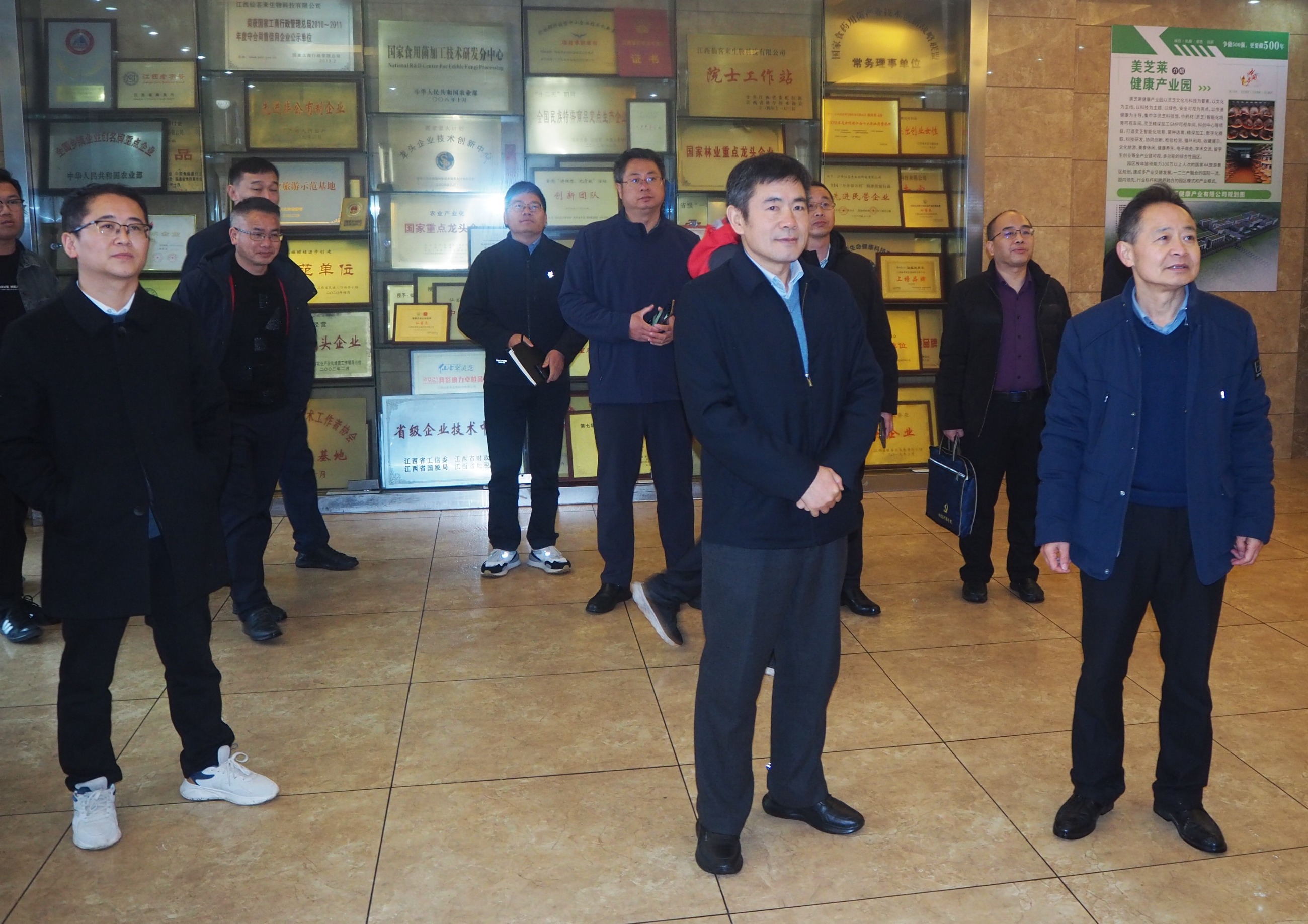 杭州亞運(yùn)會官方靈芝產(chǎn)品供應(yīng)商|杭州亞運(yùn)會官方供應(yīng)商|中國靈芝十大品牌|仙客來靈芝|仙客來靈芝破壁孢子粉|仙客來孢子油|仙客來靈芝飲片|仙客來破壁孢子粉|靈芝孢子油|孢子粉|靈芝破壁孢子粉|靈芝|中華老字號 杭州亞運(yùn)會官方靈芝產(chǎn)品供應(yīng)商|杭州亞運(yùn)會官方供應(yīng)商|中國靈芝十大品牌|仙客來靈芝|仙客來靈芝破壁孢子粉|仙客來孢子油|仙客來靈芝飲片|仙客來破壁孢子粉|靈芝孢子油|孢子粉|靈芝破壁孢子粉|靈芝|中華老字號