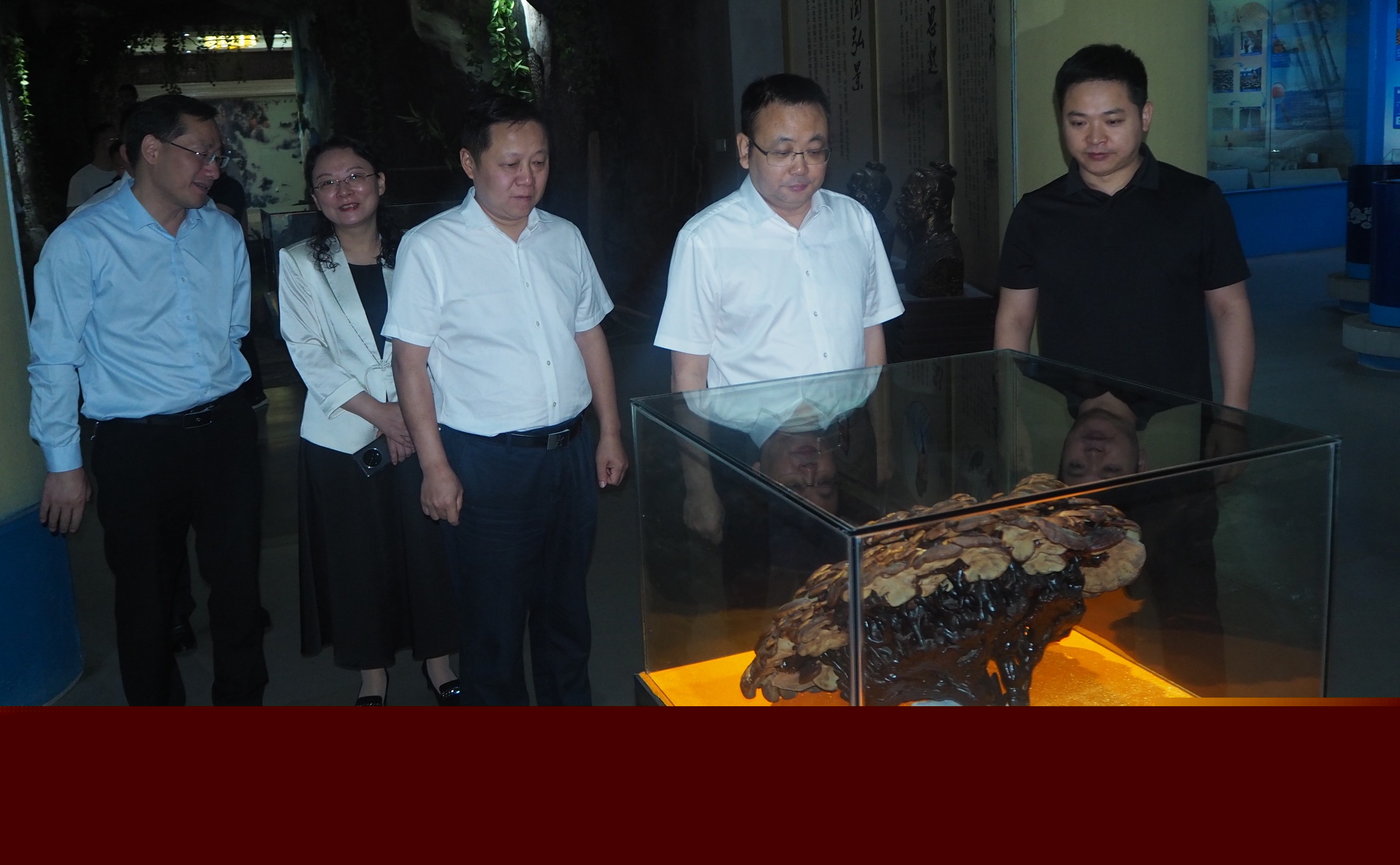 杭州亞運會官方靈芝產品供應商|杭州亞運會官方供應商|中國靈芝十大品牌|仙客來靈芝|仙客來靈芝破壁孢子粉|仙客來孢子油|仙客來靈芝飲片|仙客來破壁孢子粉|靈芝孢子油|孢子粉|靈芝破壁孢子粉|靈芝|中華老字號 杭州亞運會官方靈芝產品供應商|杭州亞運會官方供應商|中國靈芝十大品牌|仙客來靈芝|仙客來靈芝破壁孢子粉|仙客來孢子油|仙客來靈芝飲片|仙客來破壁孢子粉|靈芝孢子油|孢子粉|靈芝破壁孢子粉|靈芝|中華老字號