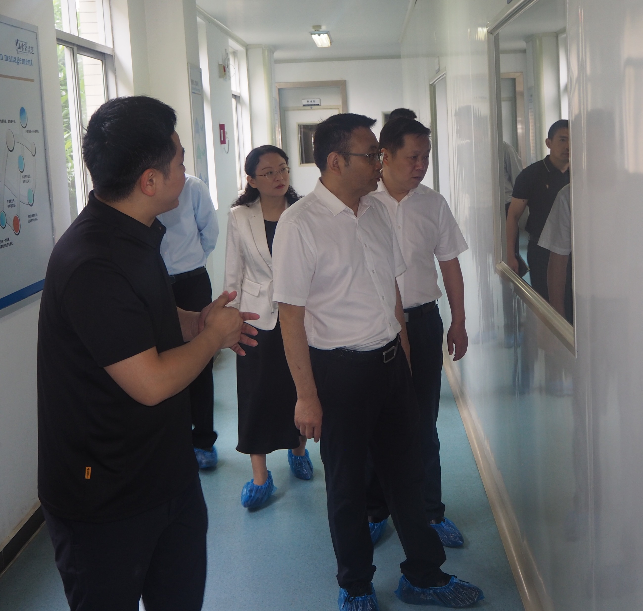 杭州亞運會官方靈芝產品供應商|杭州亞運會官方供應商|中國靈芝十大品牌|仙客來靈芝|仙客來靈芝破壁孢子粉|仙客來孢子油|仙客來靈芝飲片|仙客來破壁孢子粉|靈芝孢子油|孢子粉|靈芝破壁孢子粉|靈芝|中華老字號 杭州亞運會官方靈芝產品供應商|杭州亞運會官方供應商|中國靈芝十大品牌|仙客來靈芝|仙客來靈芝破壁孢子粉|仙客來孢子油|仙客來靈芝飲片|仙客來破壁孢子粉|靈芝孢子油|孢子粉|靈芝破壁孢子粉|靈芝|中華老字號