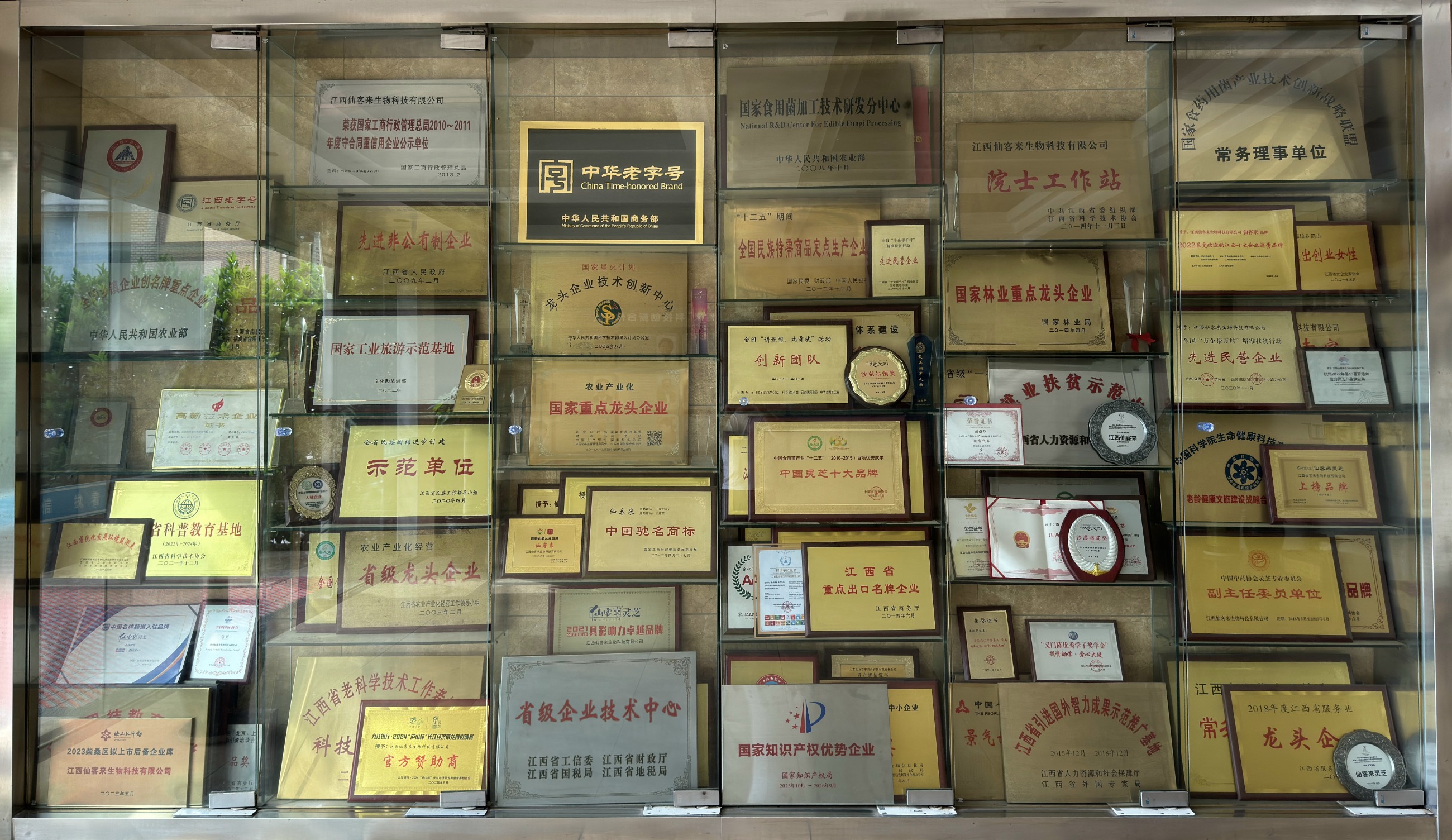 杭州亞運(yùn)會(huì)官方靈芝產(chǎn)品供應(yīng)商|杭州亞運(yùn)會(huì)官方供應(yīng)商|中國(guó)靈芝十大品牌|仙客來(lái)靈芝|仙客來(lái)靈芝破壁孢子粉|仙客來(lái)孢子油|仙客來(lái)靈芝飲片|仙客來(lái)破壁孢子粉|靈芝孢子油|孢子粉|靈芝破壁孢子粉|靈芝|中華老字號(hào) 杭州亞運(yùn)會(huì)官方靈芝產(chǎn)品供應(yīng)商|杭州亞運(yùn)會(huì)官方供應(yīng)商|中國(guó)靈芝十大品牌|仙客來(lái)靈芝|仙客來(lái)靈芝破壁孢子粉|仙客來(lái)孢子油|仙客來(lái)靈芝飲片|仙客來(lái)破壁孢子粉|靈芝孢子油|孢子粉|靈芝破壁孢子粉|靈芝|中華老字號(hào)