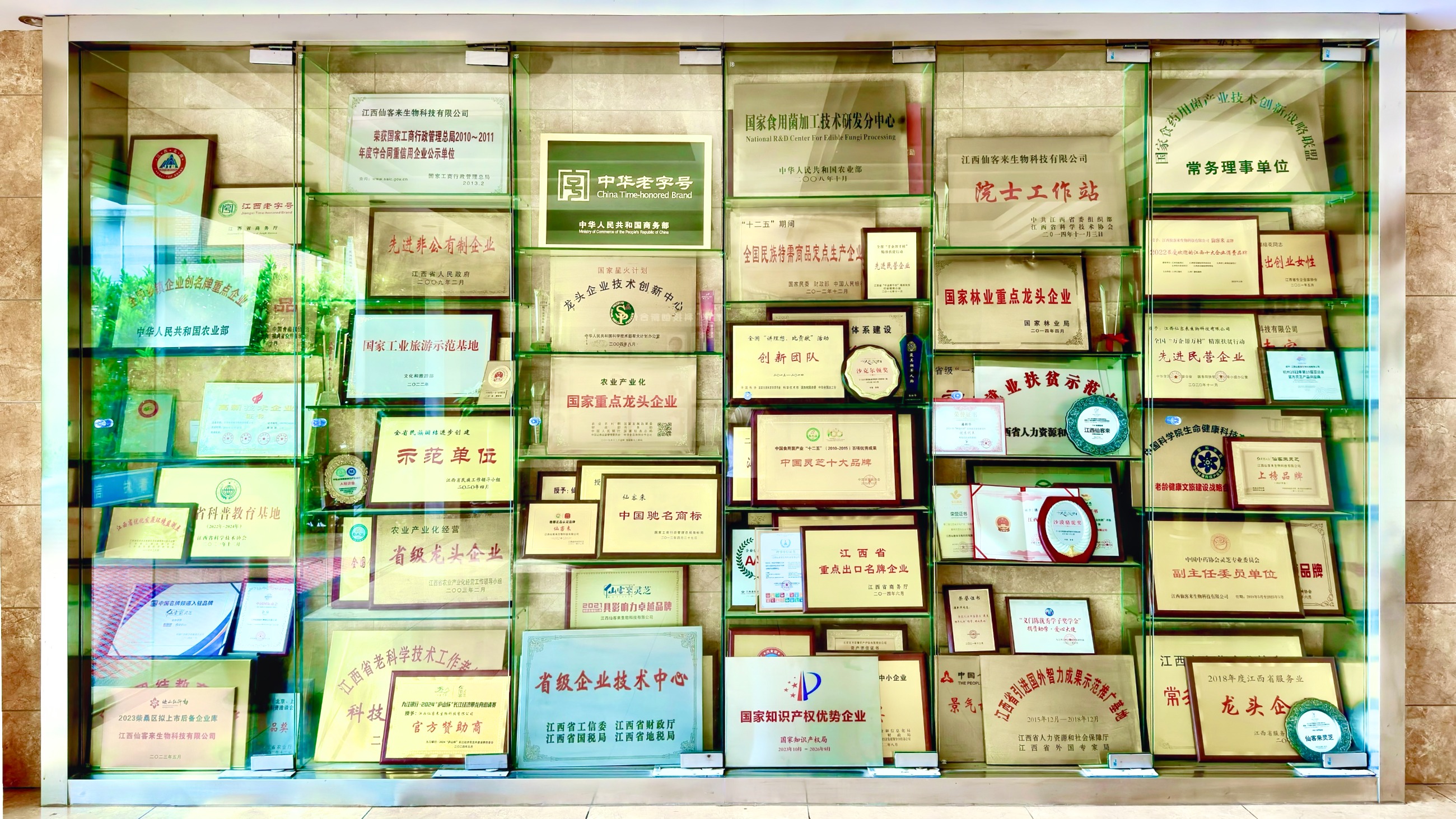 杭州亞運會官方靈芝產(chǎn)品供應商|杭州亞運會官方供應商|中國靈芝十大品牌|仙客來靈芝|仙客來靈芝破壁孢子粉|仙客來孢子油|仙客來靈芝飲片|仙客來破壁孢子粉|靈芝孢子油|孢子粉|靈芝破壁孢子粉|靈芝|中華老字號 杭州亞運會官方靈芝產(chǎn)品供應商|杭州亞運會官方供應商|中國靈芝十大品牌|仙客來靈芝|仙客來靈芝破壁孢子粉|仙客來孢子油|仙客來靈芝飲片|仙客來破壁孢子粉|靈芝孢子油|孢子粉|靈芝破壁孢子粉|靈芝|中華老字號