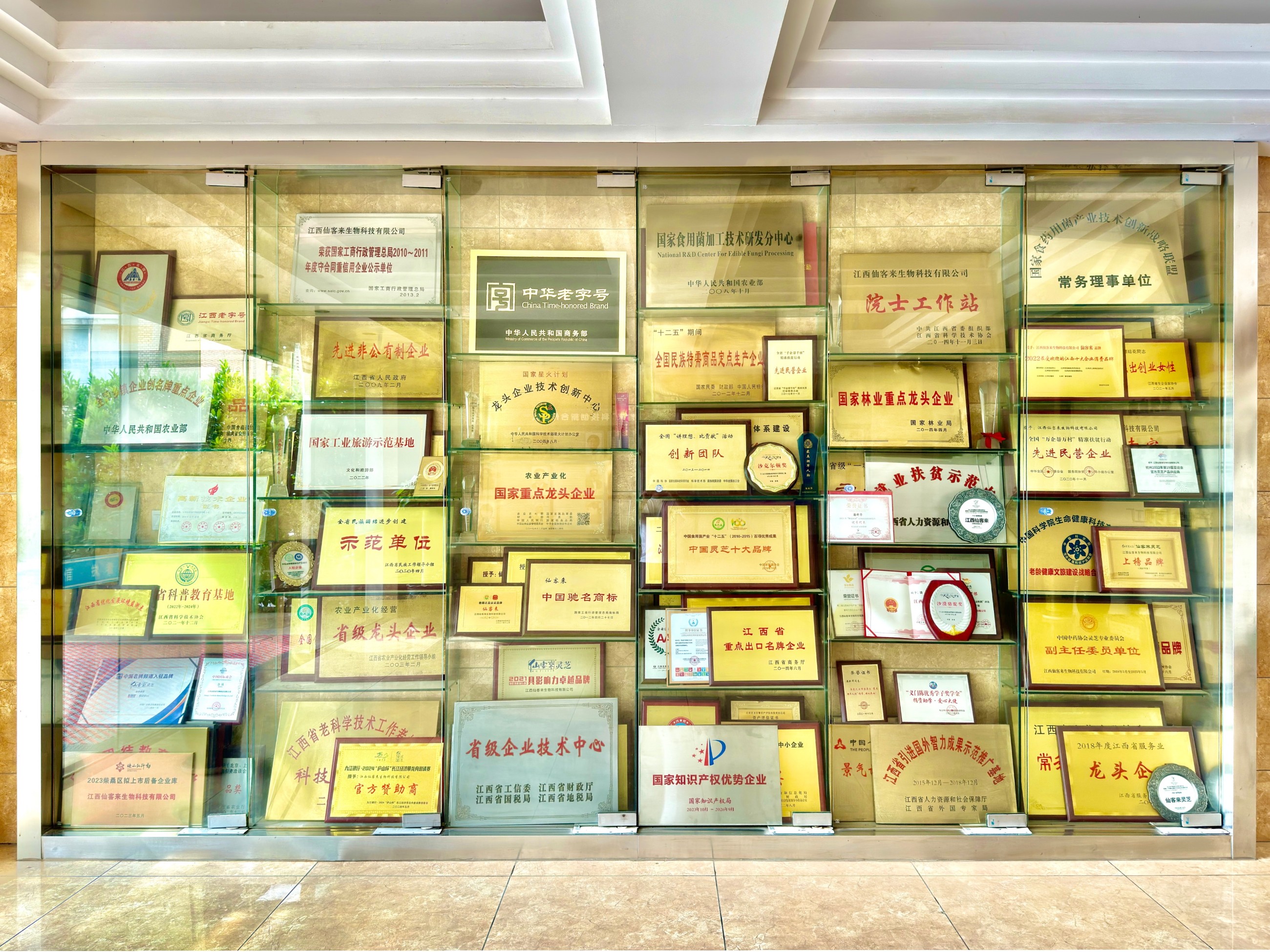 杭州亞運會官方靈芝產(chǎn)品供應(yīng)商|杭州亞運會官方供應(yīng)商|中國靈芝十大品牌|仙客來靈芝|仙客來靈芝破壁孢子粉|仙客來孢子油|仙客來靈芝飲片|仙客來破壁孢子粉|靈芝孢子油|孢子粉|靈芝破壁孢子粉|靈芝|中華老字號