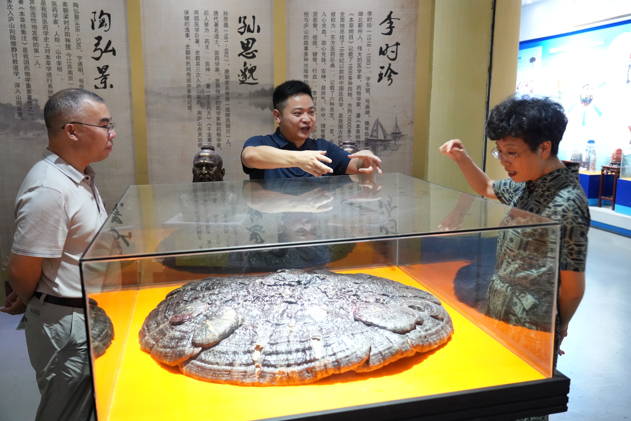 杭州亞運會官方靈芝產品供應商|杭州亞運會官方供應商|中國靈芝十大品牌|仙客來靈芝|仙客來靈芝破壁孢子粉|仙客來孢子油|仙客來靈芝飲片|仙客來破壁孢子粉|靈芝孢子油|孢子粉|靈芝破壁孢子粉|靈芝|中華老字號 杭州亞運會官方靈芝產品供應商|杭州亞運會官方供應商|中國靈芝十大品牌|仙客來靈芝|仙客來靈芝破壁孢子粉|仙客來孢子油|仙客來靈芝飲片|仙客來破壁孢子粉|靈芝孢子油|孢子粉|靈芝破壁孢子粉|靈芝|中華老字號