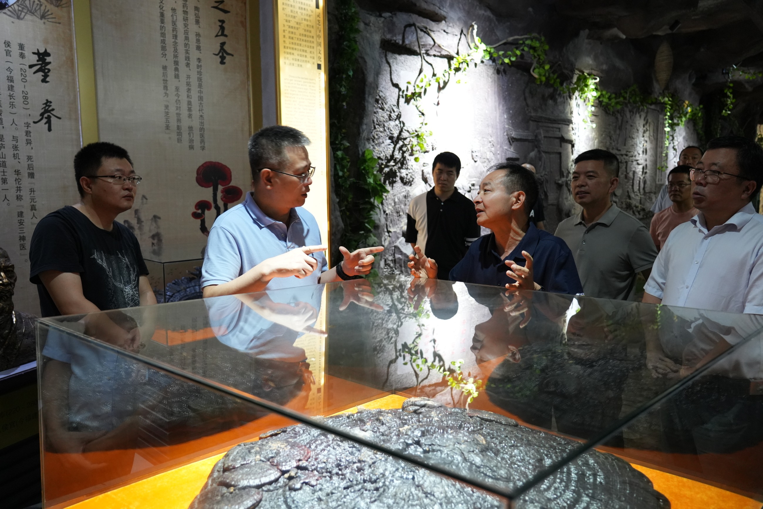 杭州亞運(yùn)會(huì)官方靈芝產(chǎn)品供應(yīng)商|杭州亞運(yùn)會(huì)官方供應(yīng)商|中國(guó)靈芝十大品牌|仙客來靈芝|仙客來靈芝破壁孢子粉|仙客來孢子油|仙客來靈芝飲片|仙客來破壁孢子粉|靈芝孢子油|孢子粉|靈芝破壁孢子粉|靈芝|中華老字號(hào) 杭州亞運(yùn)會(huì)官方靈芝產(chǎn)品供應(yīng)商|杭州亞運(yùn)會(huì)官方供應(yīng)商|中國(guó)靈芝十大品牌|仙客來靈芝|仙客來靈芝破壁孢子粉|仙客來孢子油|仙客來靈芝飲片|仙客來破壁孢子粉|靈芝孢子油|孢子粉|靈芝破壁孢子粉|靈芝|中華老字號(hào)