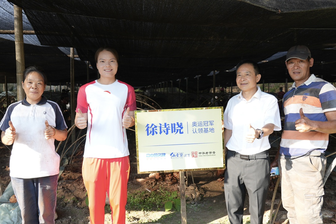 杭州亞運(yùn)會官方靈芝產(chǎn)品供應(yīng)商|杭州亞運(yùn)會官方供應(yīng)商|中國靈芝十大品牌|仙客來靈芝|仙客來靈芝破壁孢子粉|仙客來孢子油|仙客來靈芝飲片|仙客來破壁孢子粉|靈芝孢子油|孢子粉|靈芝破壁孢子粉|靈芝|中華老字號 杭州亞運(yùn)會官方靈芝產(chǎn)品供應(yīng)商|杭州亞運(yùn)會官方供應(yīng)商|中國靈芝十大品牌|仙客來靈芝|仙客來靈芝破壁孢子粉|仙客來孢子油|仙客來靈芝飲片|仙客來破壁孢子粉|靈芝孢子油|孢子粉|靈芝破壁孢子粉|靈芝|中華老字號