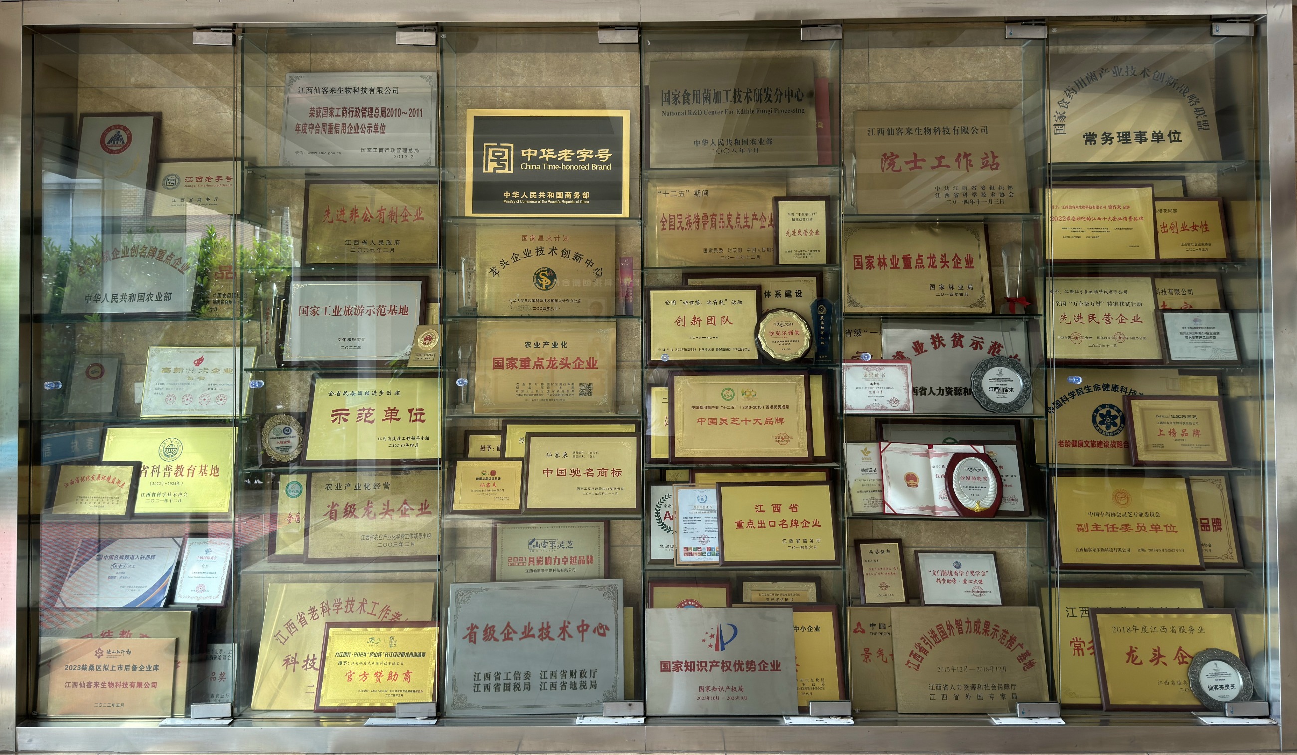 杭州亞運(yùn)會官方靈芝產(chǎn)品供應(yīng)商|杭州亞運(yùn)會官方供應(yīng)商|中國靈芝十大品牌|仙客來靈芝|仙客來靈芝破壁孢子粉|仙客來孢子油|仙客來靈芝飲片|仙客來破壁孢子粉|靈芝孢子油|孢子粉|靈芝破壁孢子粉|靈芝|中華老字號 杭州亞運(yùn)會官方靈芝產(chǎn)品供應(yīng)商|杭州亞運(yùn)會官方供應(yīng)商|中國靈芝十大品牌|仙客來靈芝|仙客來靈芝破壁孢子粉|仙客來孢子油|仙客來靈芝飲片|仙客來破壁孢子粉|靈芝孢子油|孢子粉|靈芝破壁孢子粉|靈芝|中華老字號