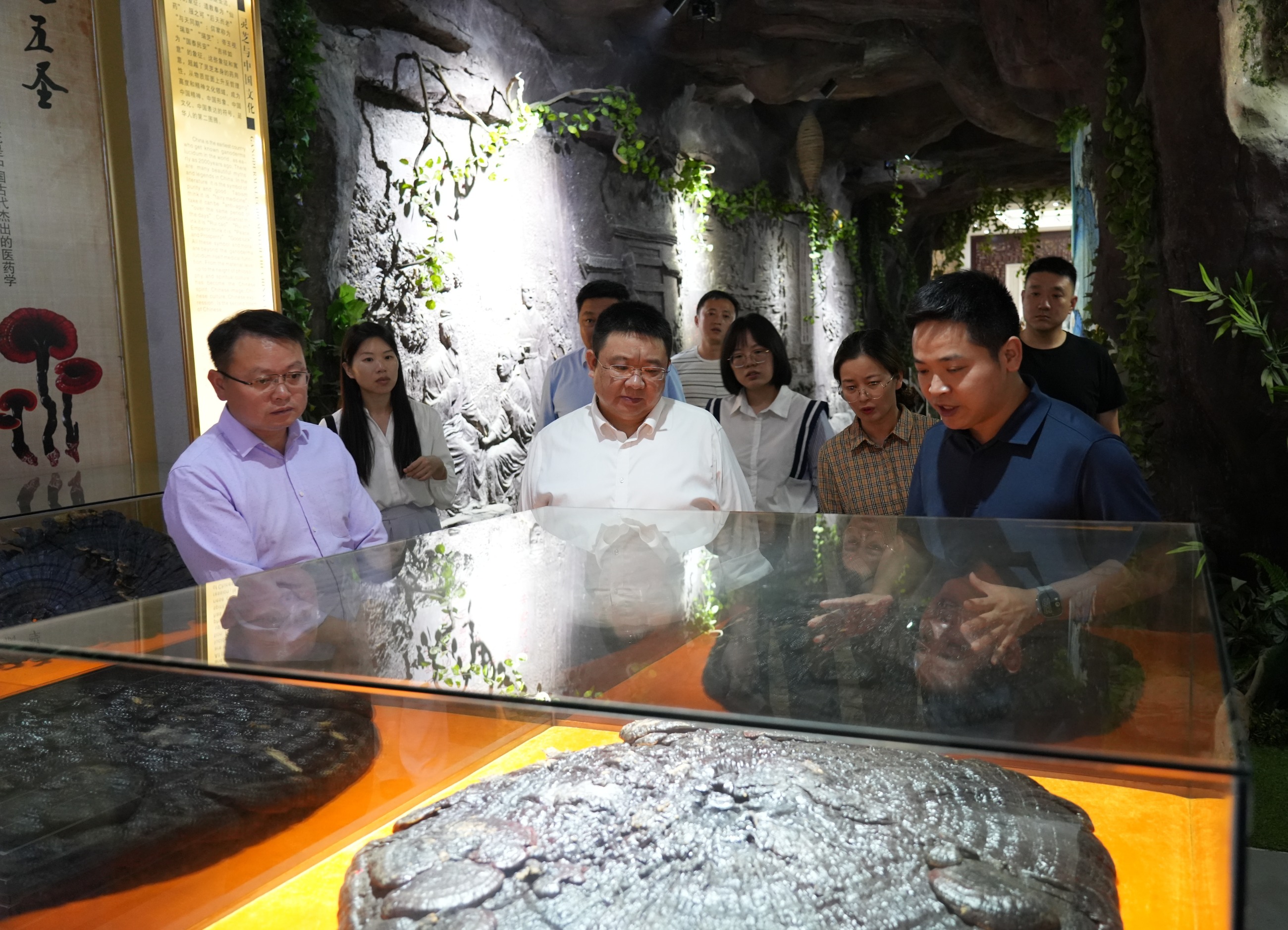 杭州亞運(yùn)會(huì)官方靈芝產(chǎn)品供應(yīng)商|杭州亞運(yùn)會(huì)官方供應(yīng)商|中國靈芝十大品牌|仙客來靈芝|仙客來靈芝破壁孢子粉|仙客來孢子油|仙客來靈芝飲片|仙客來破壁孢子粉|靈芝孢子油|孢子粉|靈芝破壁孢子粉|靈芝|中華老字號(hào) 杭州亞運(yùn)會(huì)官方靈芝產(chǎn)品供應(yīng)商|杭州亞運(yùn)會(huì)官方供應(yīng)商|中國靈芝十大品牌|仙客來靈芝|仙客來靈芝破壁孢子粉|仙客來孢子油|仙客來靈芝飲片|仙客來破壁孢子粉|靈芝孢子油|孢子粉|靈芝破壁孢子粉|靈芝|中華老字號(hào)