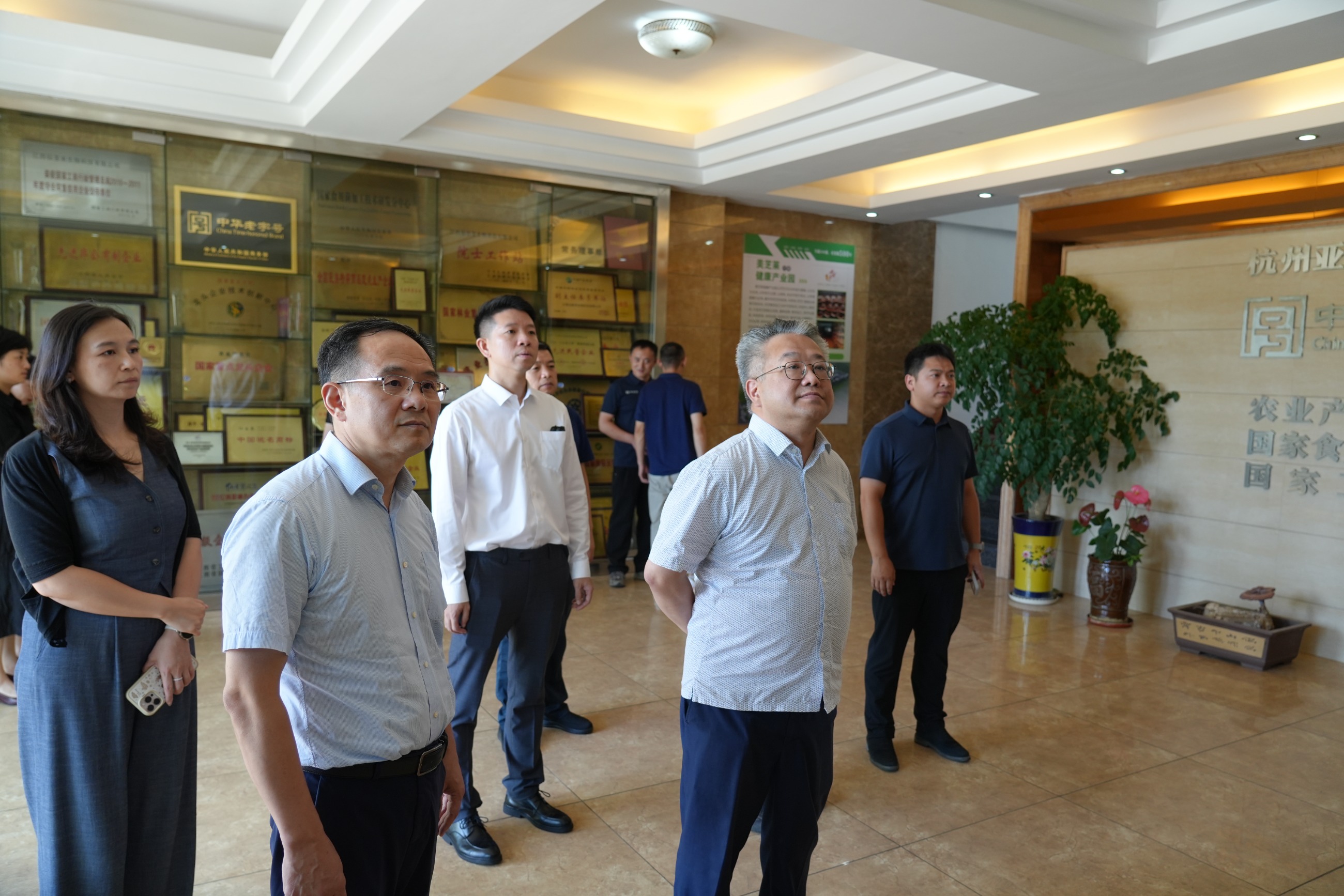 杭州亞運(yùn)會(huì)官方靈芝產(chǎn)品供應(yīng)商|杭州亞運(yùn)會(huì)官方供應(yīng)商|中國靈芝十大品牌|仙客來靈芝|仙客來靈芝破壁孢子粉|仙客來孢子油|仙客來靈芝飲片|仙客來破壁孢子粉|靈芝孢子油|孢子粉|靈芝破壁孢子粉|靈芝|中華老字號 杭州亞運(yùn)會(huì)官方靈芝產(chǎn)品供應(yīng)商|杭州亞運(yùn)會(huì)官方供應(yīng)商|中國靈芝十大品牌|仙客來靈芝|仙客來靈芝破壁孢子粉|仙客來孢子油|仙客來靈芝飲片|仙客來破壁孢子粉|靈芝孢子油|孢子粉|靈芝破壁孢子粉|靈芝|中華老字號