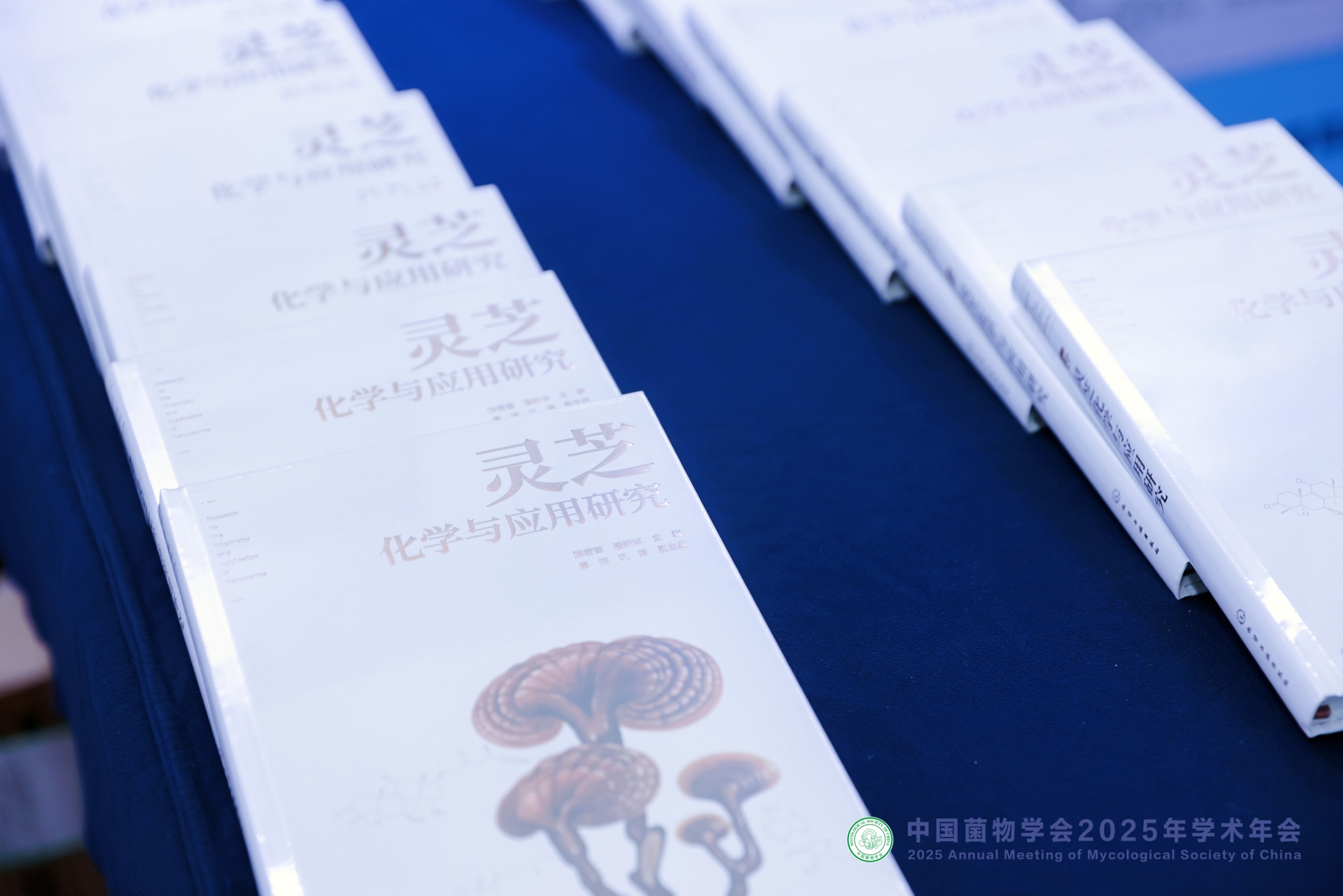 杭州亞運(yùn)會(huì)官方靈芝產(chǎn)品供應(yīng)商|杭州亞運(yùn)會(huì)官方供應(yīng)商|中國靈芝十大品牌|仙客來靈芝|仙客來靈芝破壁孢子粉|仙客來孢子油|仙客來靈芝飲片|仙客來破壁孢子粉|靈芝孢子油|孢子粉|靈芝破壁孢子粉|靈芝|中華老字號(hào)