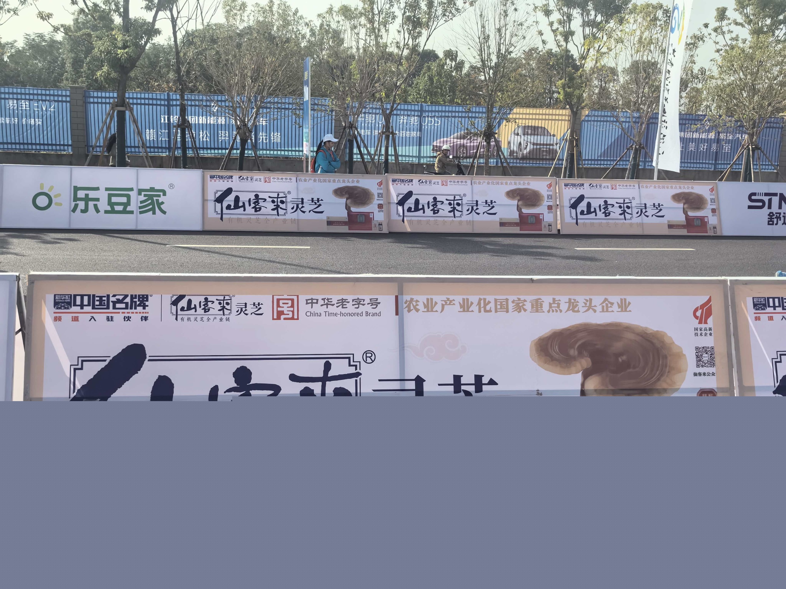 杭州亞運(yùn)會(huì)官方靈芝產(chǎn)品供應(yīng)商|杭州亞運(yùn)會(huì)官方供應(yīng)商|中國(guó)靈芝十大品牌|仙客來(lái)靈芝|仙客來(lái)靈芝破壁孢子粉|仙客來(lái)孢子油|仙客來(lái)靈芝飲片|仙客來(lái)破壁孢子粉|靈芝孢子油|孢子粉|靈芝破壁孢子粉|靈芝|中華老字號(hào)