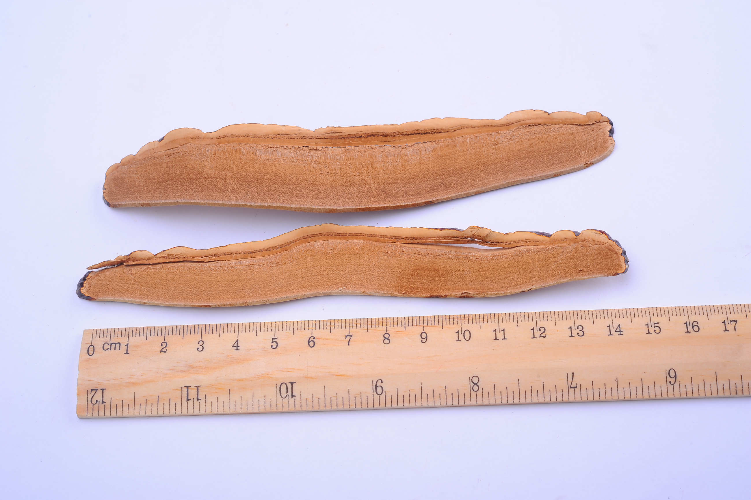 杭州亞運會官方靈芝產品供應商|杭州亞運會官方供應商|中國靈芝十大品牌|仙客來靈芝|仙客來靈芝破壁孢子粉|仙客來孢子油|仙客來靈芝飲片|仙客來破壁孢子粉|靈芝孢子油|孢子粉|靈芝破壁孢子粉|靈芝|中華老字號 杭州亞運會官方靈芝產品供應商|杭州亞運會官方供應商|中國靈芝十大品牌|仙客來靈芝|仙客來靈芝破壁孢子粉|仙客來孢子油|仙客來靈芝飲片|仙客來破壁孢子粉|靈芝孢子油|孢子粉|靈芝破壁孢子粉|靈芝|中華老字號