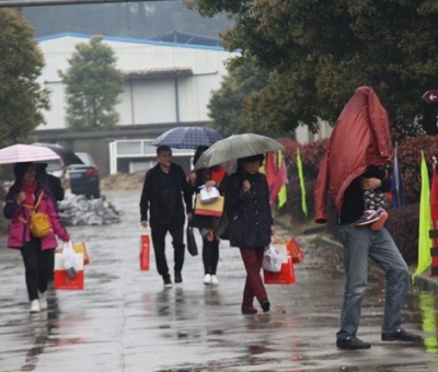 九江暴雨，仙客來(lái)“暴游”