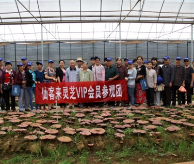 “慶國慶、賀重陽”專家義診活動在仙客來公司隆重舉行