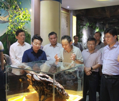 &ldquo;降成本，優(yōu)環(huán)境&rdquo;助企業(yè)騰飛&mdash;&mdash;江西省政協(xié)副主席率團(tuán)調(diào)研仙客來！