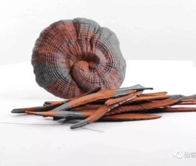 先，鮮，仙，一杯飲盡天下鮮。