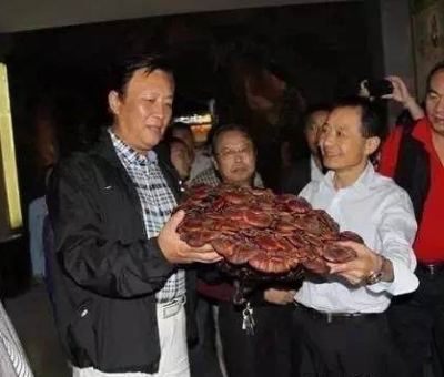 這樣過三月才是人生贏家！