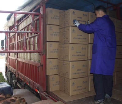 【4天加班15次缺貨】只為人皆有“芝”！