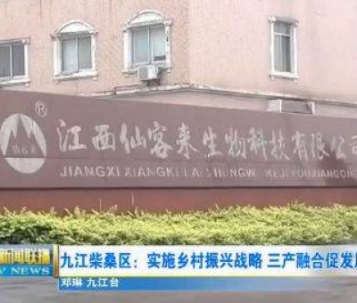 中國人只需要“別具”，缺失了“匠心”！