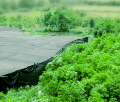 感謝廬山吧，這會是一場“仙旅情緣”