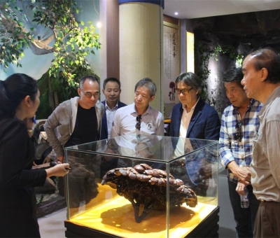 健康“良方”在這！全國政協(xié)委員、世界著名大學(xué)香港大學(xué) 榮譽院士孫少文博士蒞臨仙客來公司參觀考察