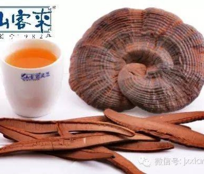 熱潮不斷！仙客來有機靈芝被點贊刷屏