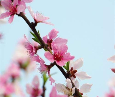 清明小長假謹防疫情！健康長壽請謹記這“三個字”