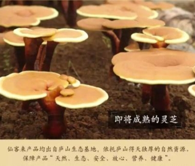 陰雨天氣頻繁  小心這些健康問(wèn)題