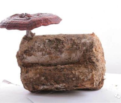 小滿(mǎn)時(shí)節(jié)脾胃失調(diào)，如何養(yǎng)生才健康？