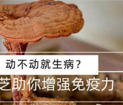 冬病夏治-如何調養(yǎng)身體？