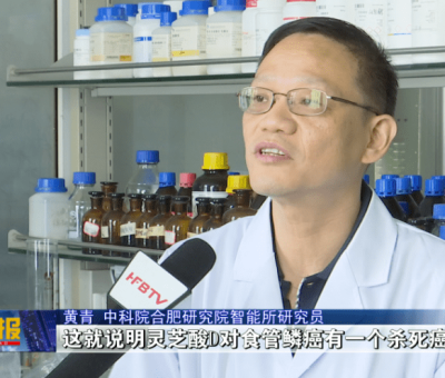 最新研究!中國(guó)科學(xué)院在靈芝抗癌藥理研究方面取得重大進(jìn)展