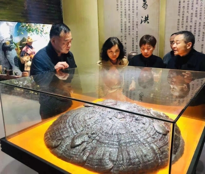 福建省軍區(qū)副政委李弘將軍蒞臨仙客來(lái)公司參觀考察