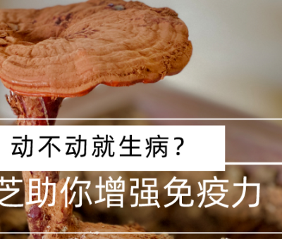 靈芝，預(yù)防您夏季上&ldquo;火&rdquo;