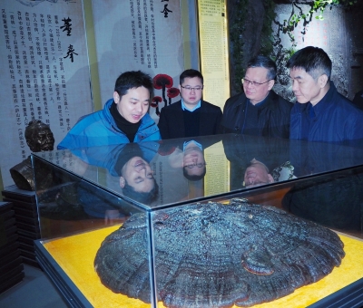 中國(guó)農(nóng)業(yè)銀行江西省分行副行長(zhǎng)李麒麟一行蒞臨仙客來公司參觀考察