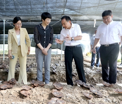 江西省委常委、宣傳部部長(zhǎng)盧小青深入廬山市通書院村靈芝基地調(diào)研